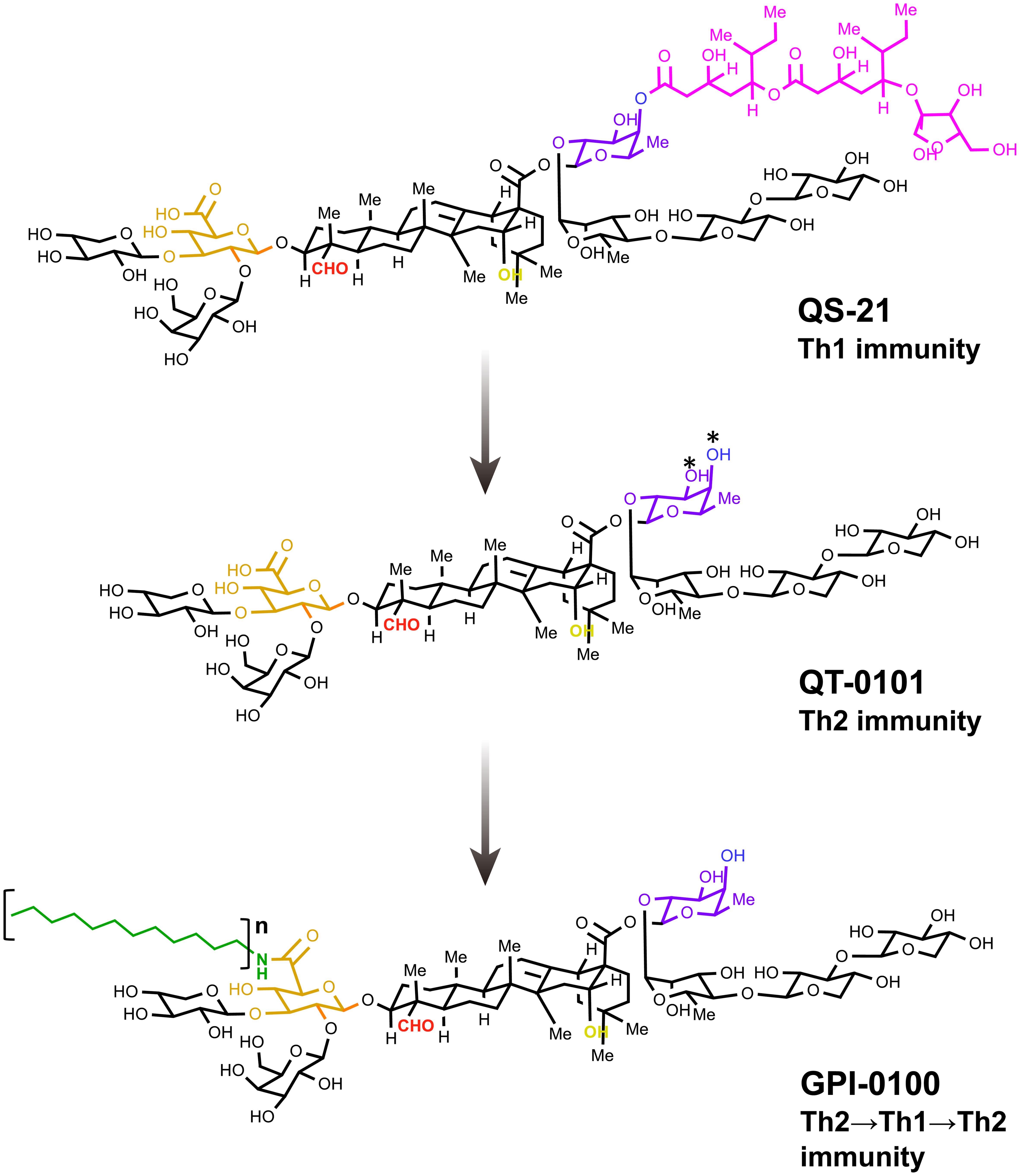 Structural changes of Q. saponins linked to their immunological properties.