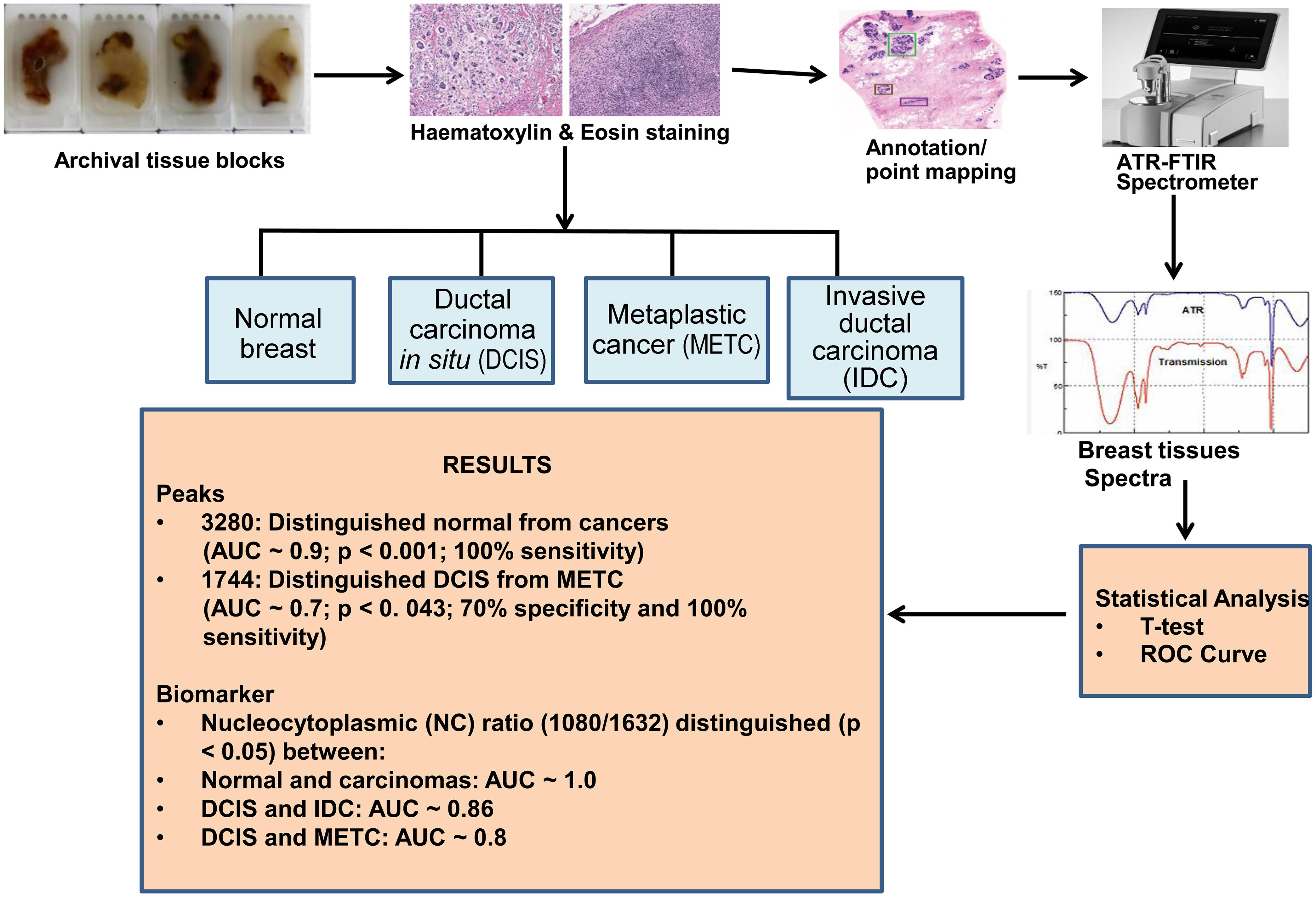 Flowchart of experimental procedure of ATR-FTIR spectroscopy of normal breast tissue, ductal and metaplastic carcinomas.