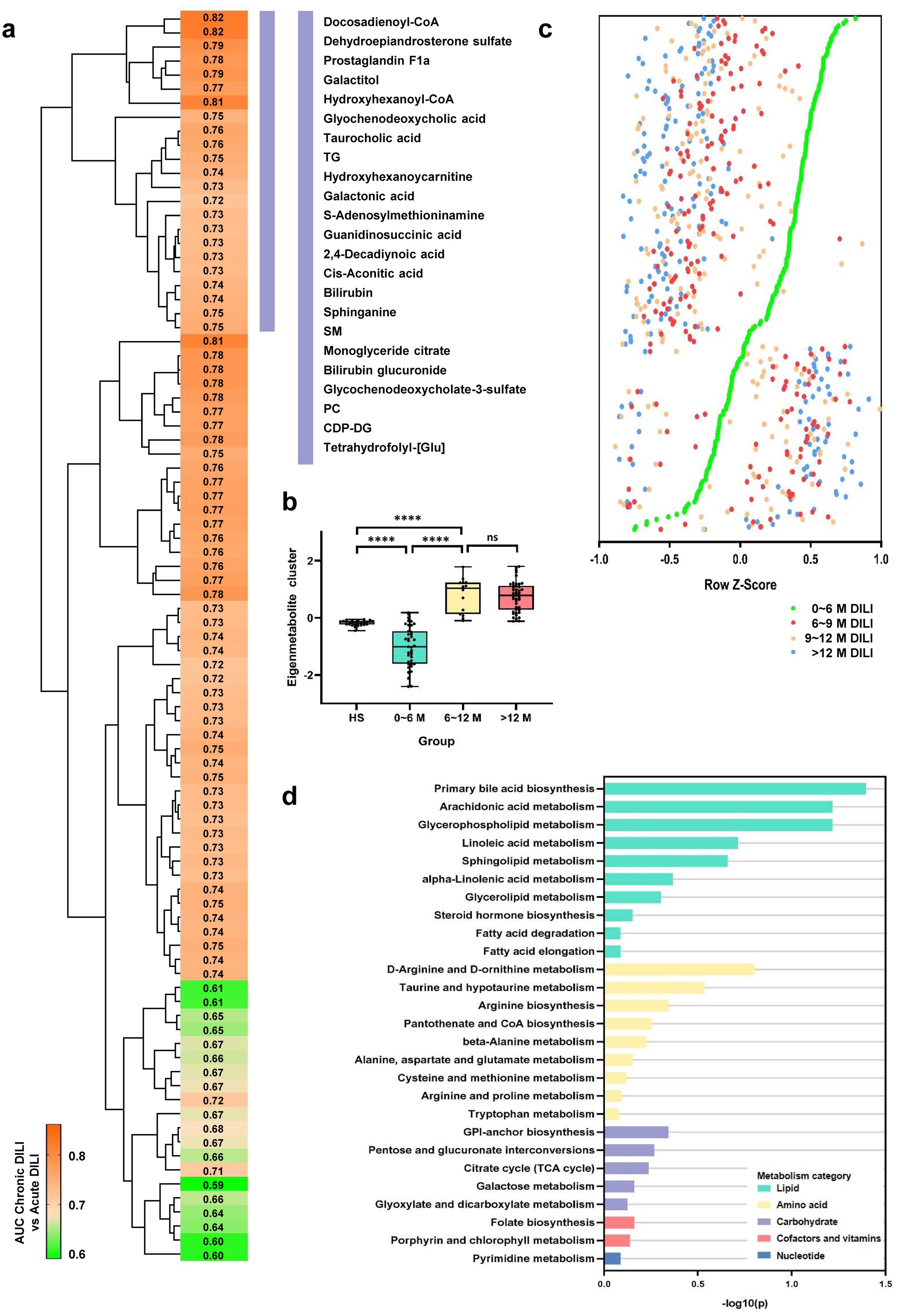 Identification of a unique chronic DILI-associated metabolic fingerprint and its behavior in different groups of patients.