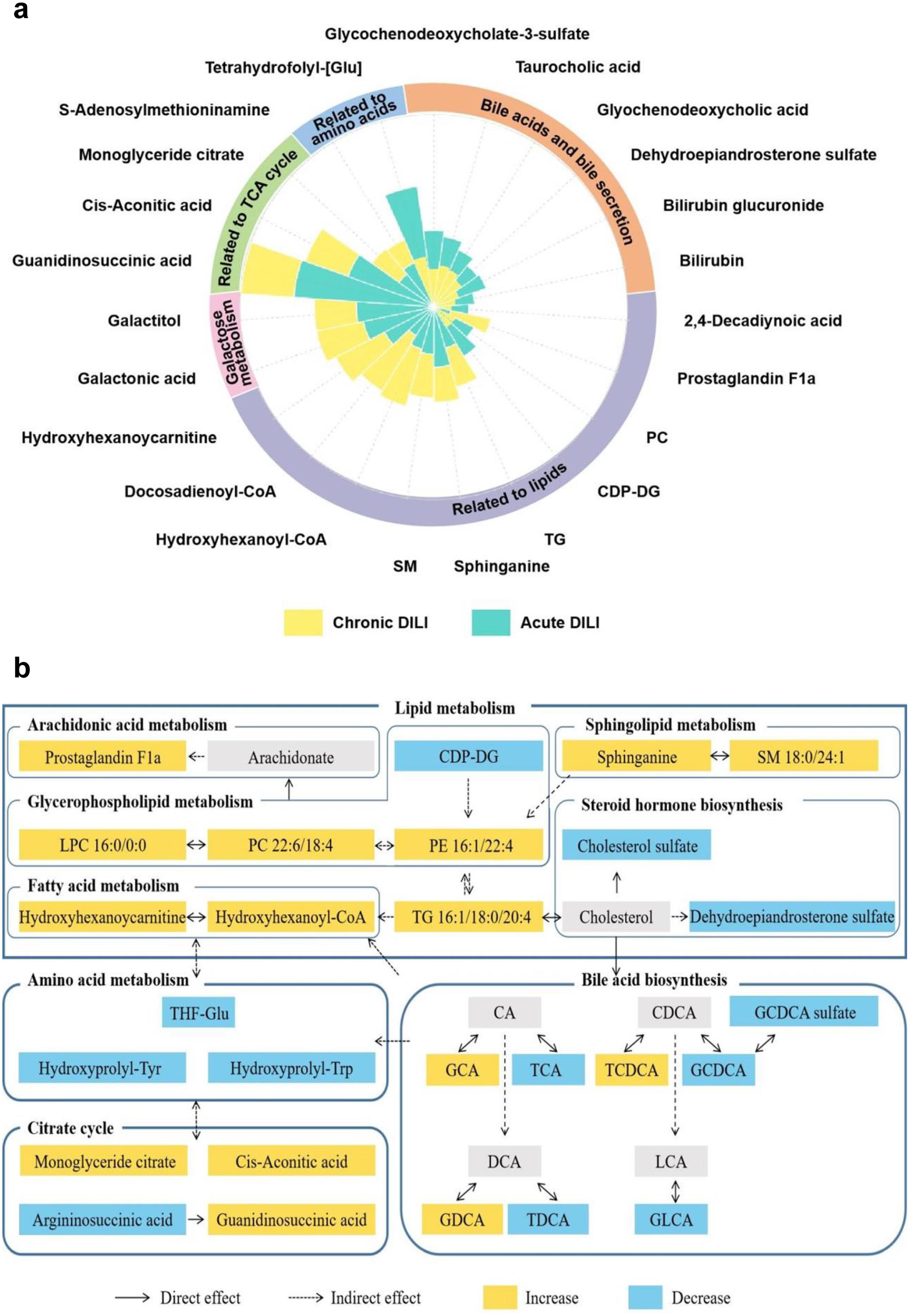 Metabolites outline of chronic DILI-associated fingerprint and metabolic pathways analysis.