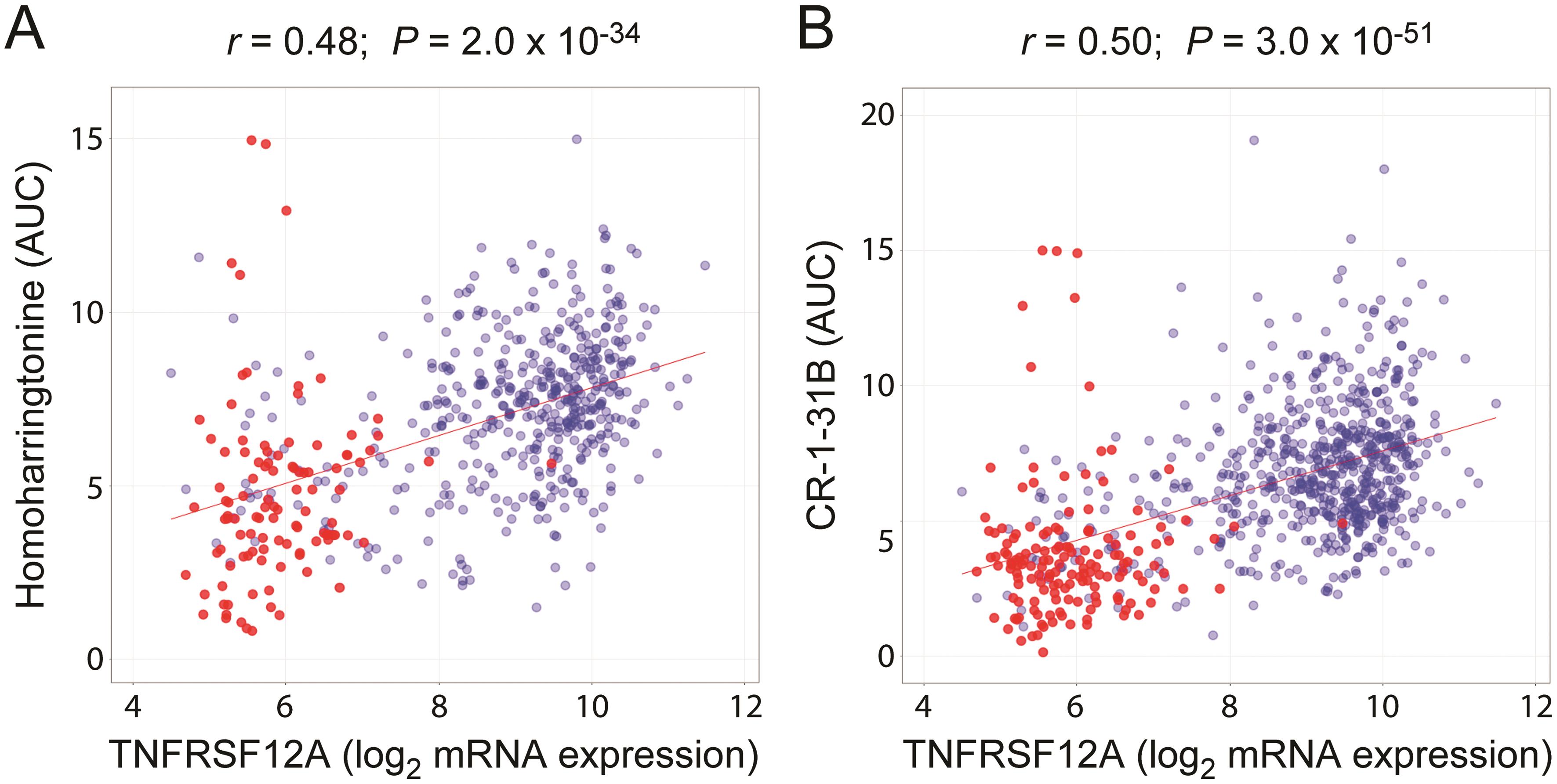 Human CCLs with low level <italic>TNFRSF12A</italic> expression exhibit enhanced sensitivity to the translation inhibitors omacetaxine mepesuccinate (homoharringtonine) and CR-1-31B.