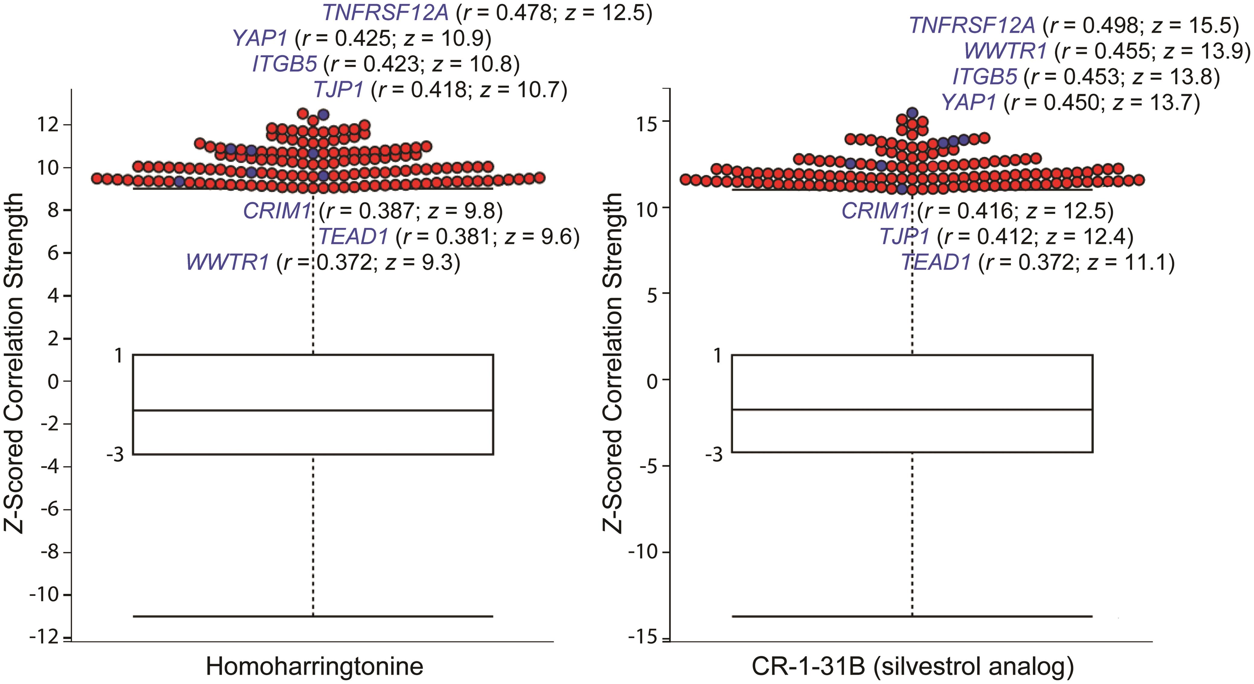 Box-and-whisker plots of 18,543 correlation coefficients of transcript levels to omacetaxine mepesuccinate (homoharringtonine; left) and CR-1-31B (right) sensitivity.