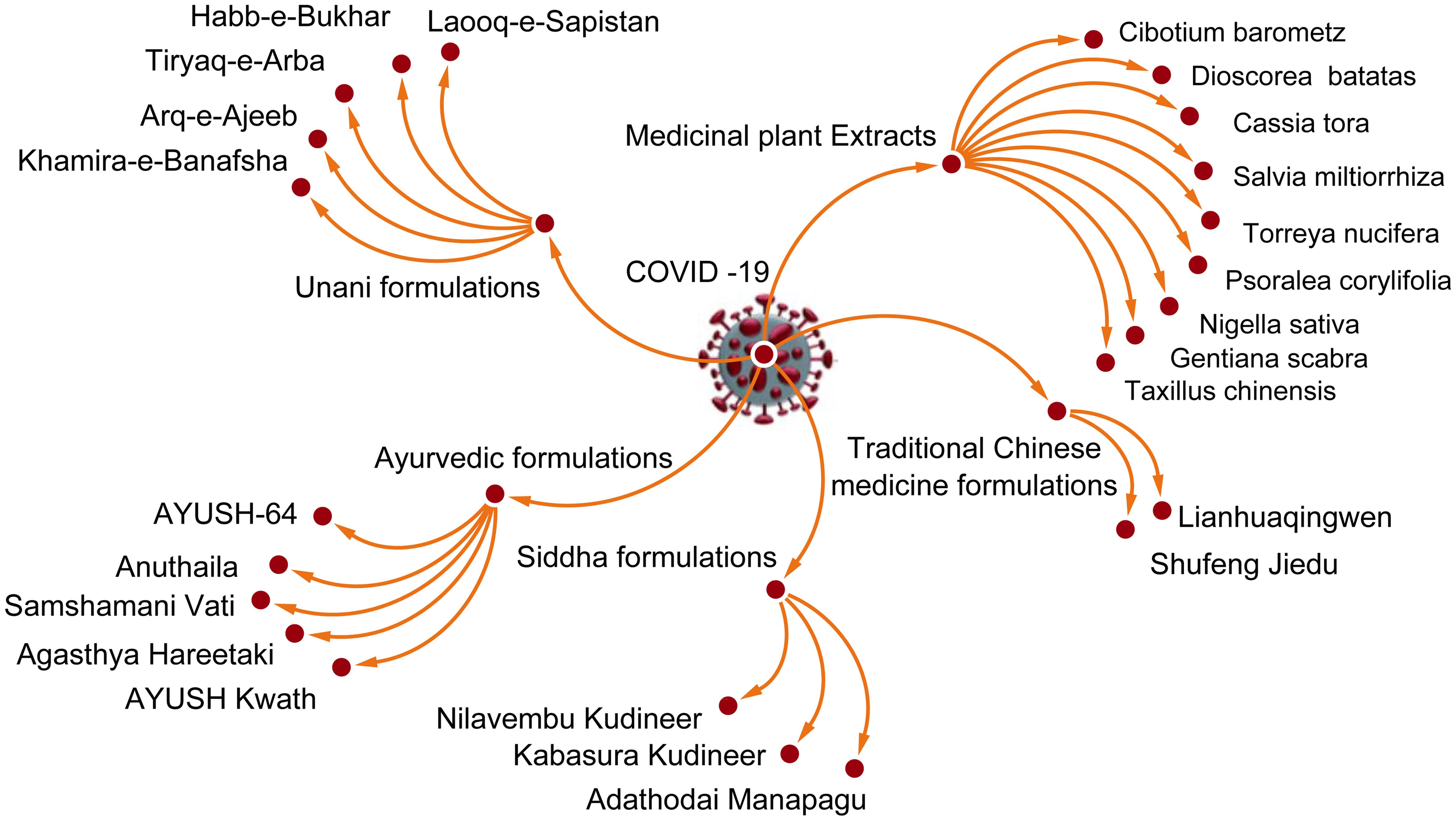 Schematic representation of medicinal plants (in terms of extracts) and their herbal formulations against COVID-19.