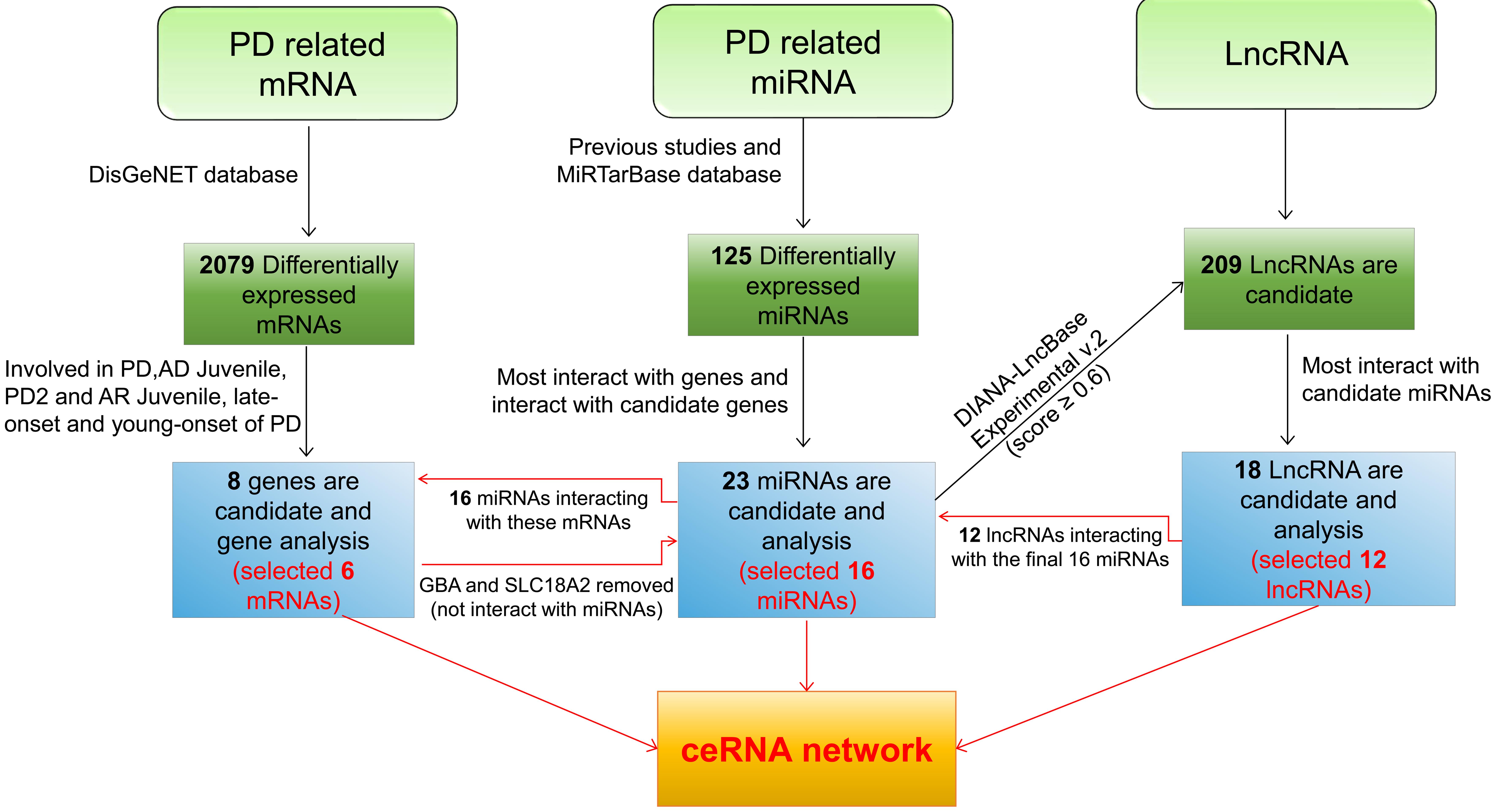 The workflow of the methods and the results and network construction in the study.