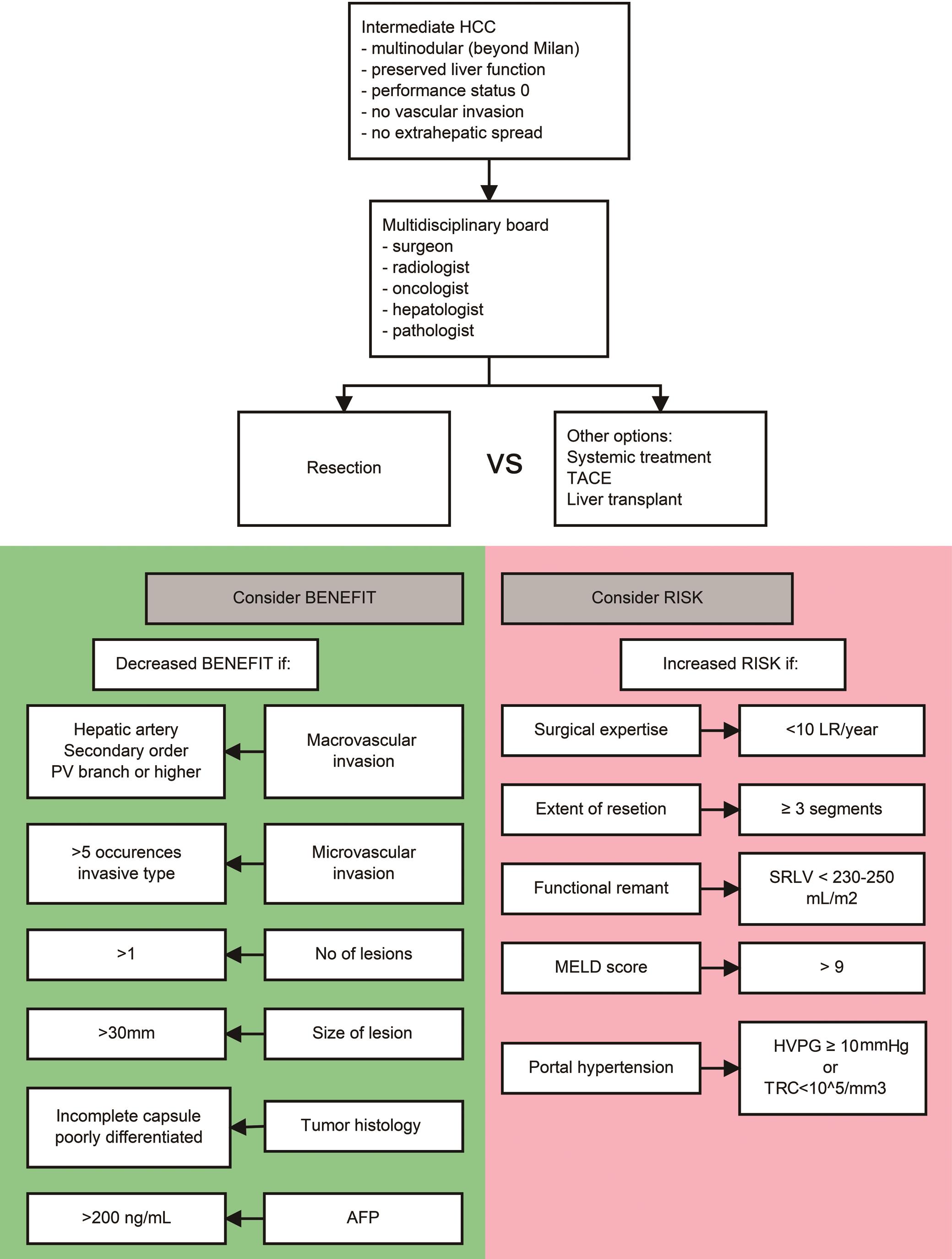 Decision-making algorithm for the management of large intermediate hepatocellular carcinoma.