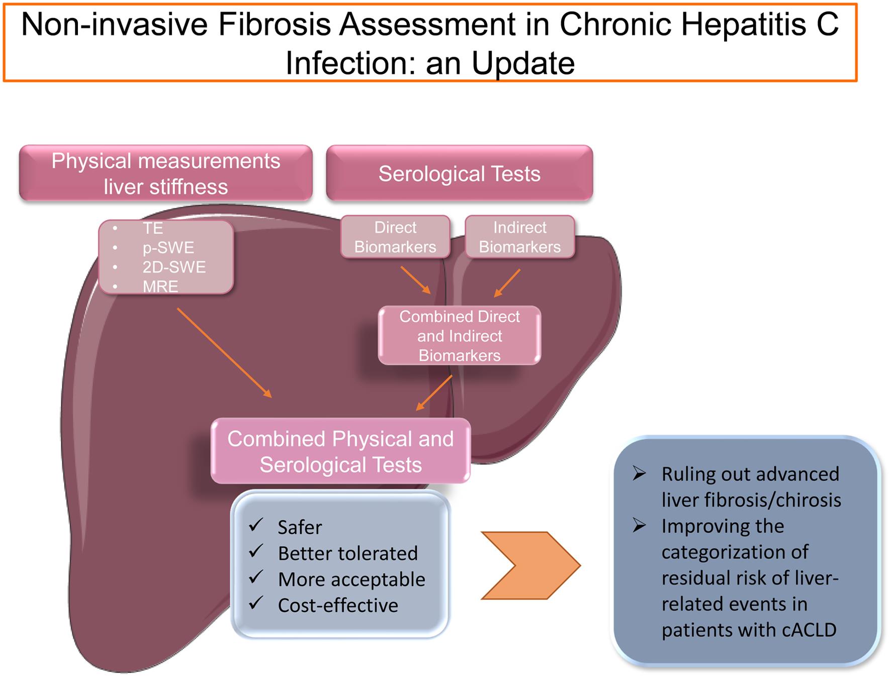 Noninvasive Fibrosis Assessment In Chronic Hepatitis C Infection: An Update