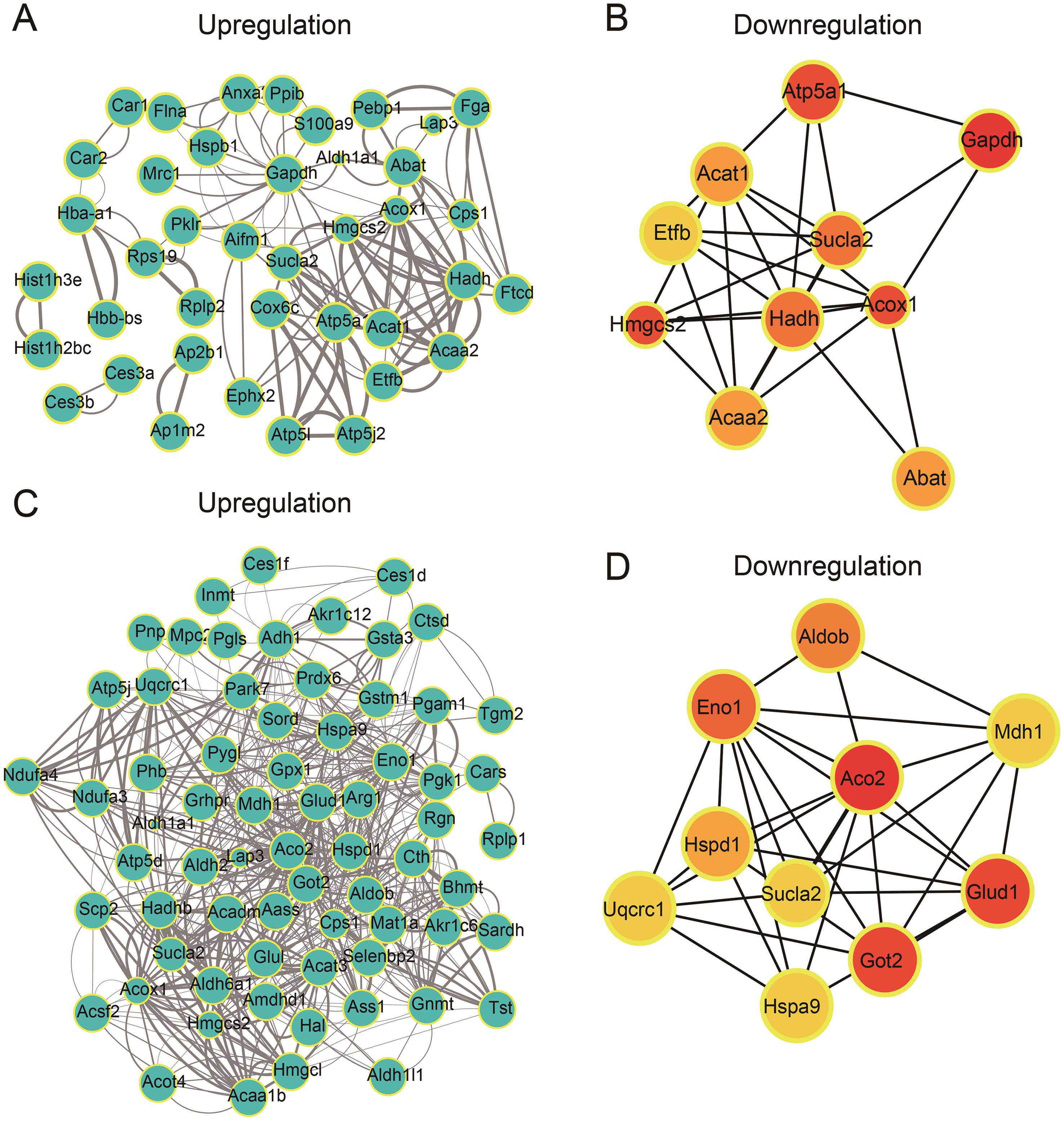 Protein-protein interaction (PPI) network analysis of peptide precursor proteins.