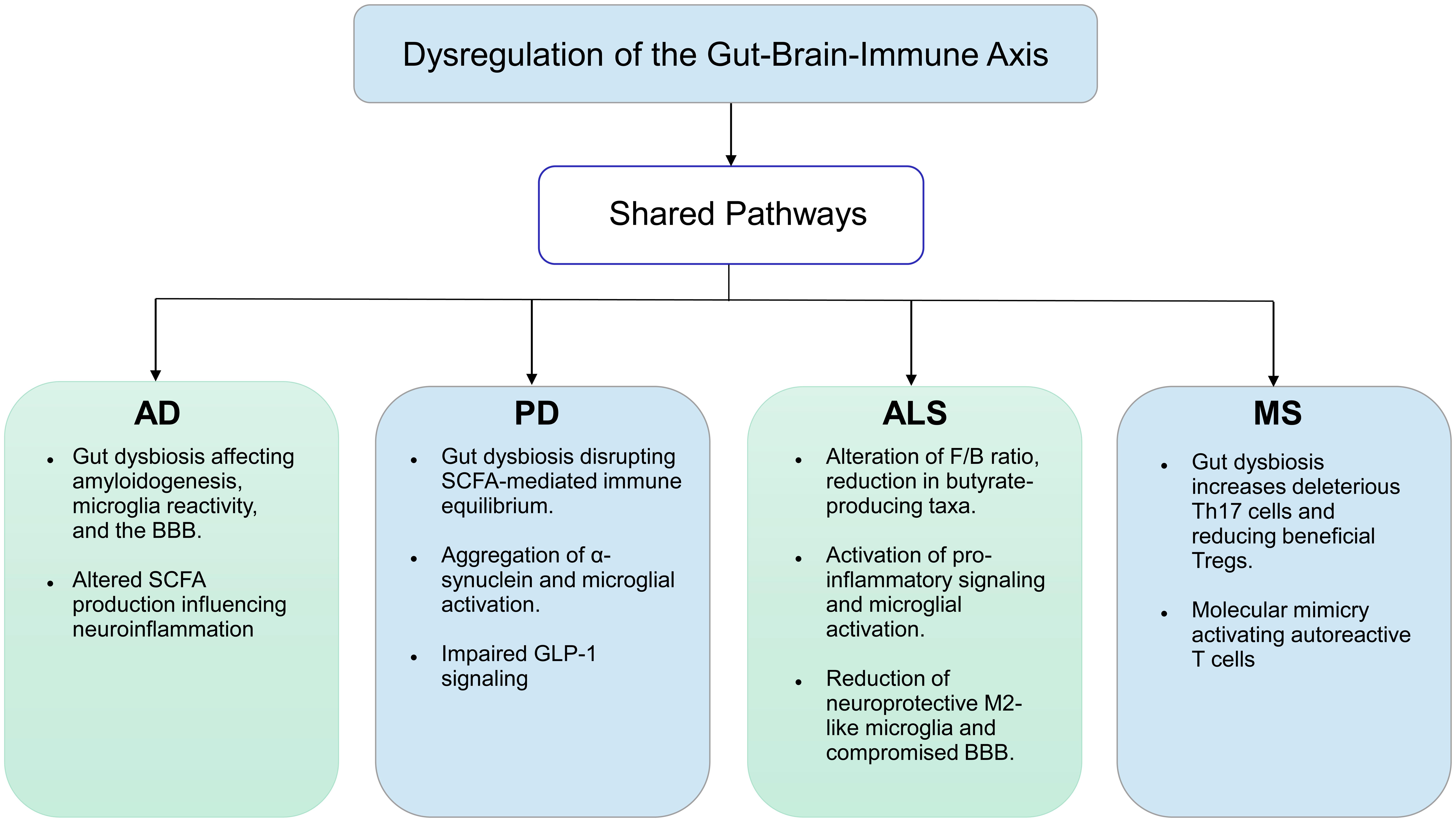 Disease-specific mechanisms of the gut–brain–immune triad in neurodegenerative diseases (NDs).