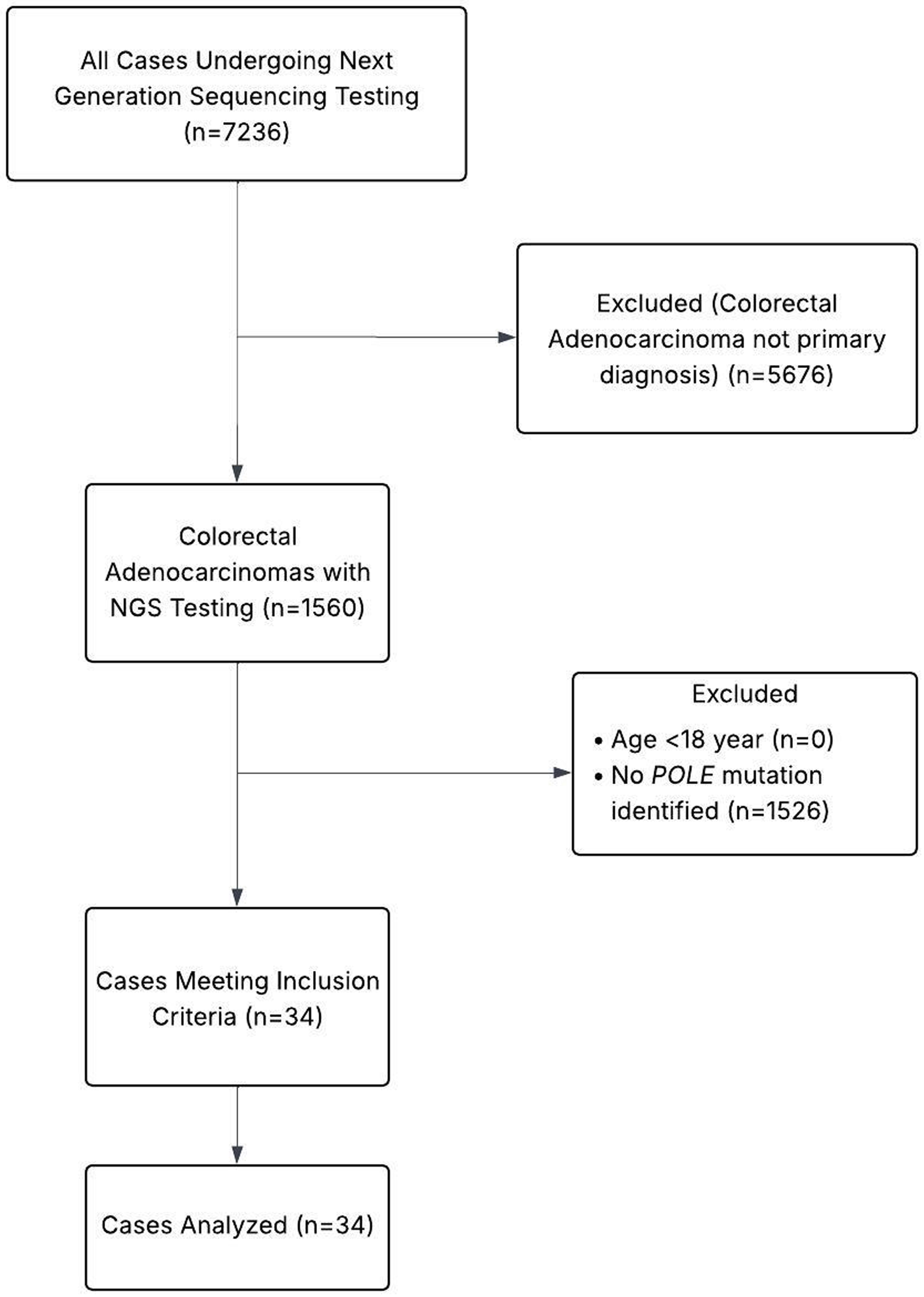 Inclusion flow diagram of the study cohort.