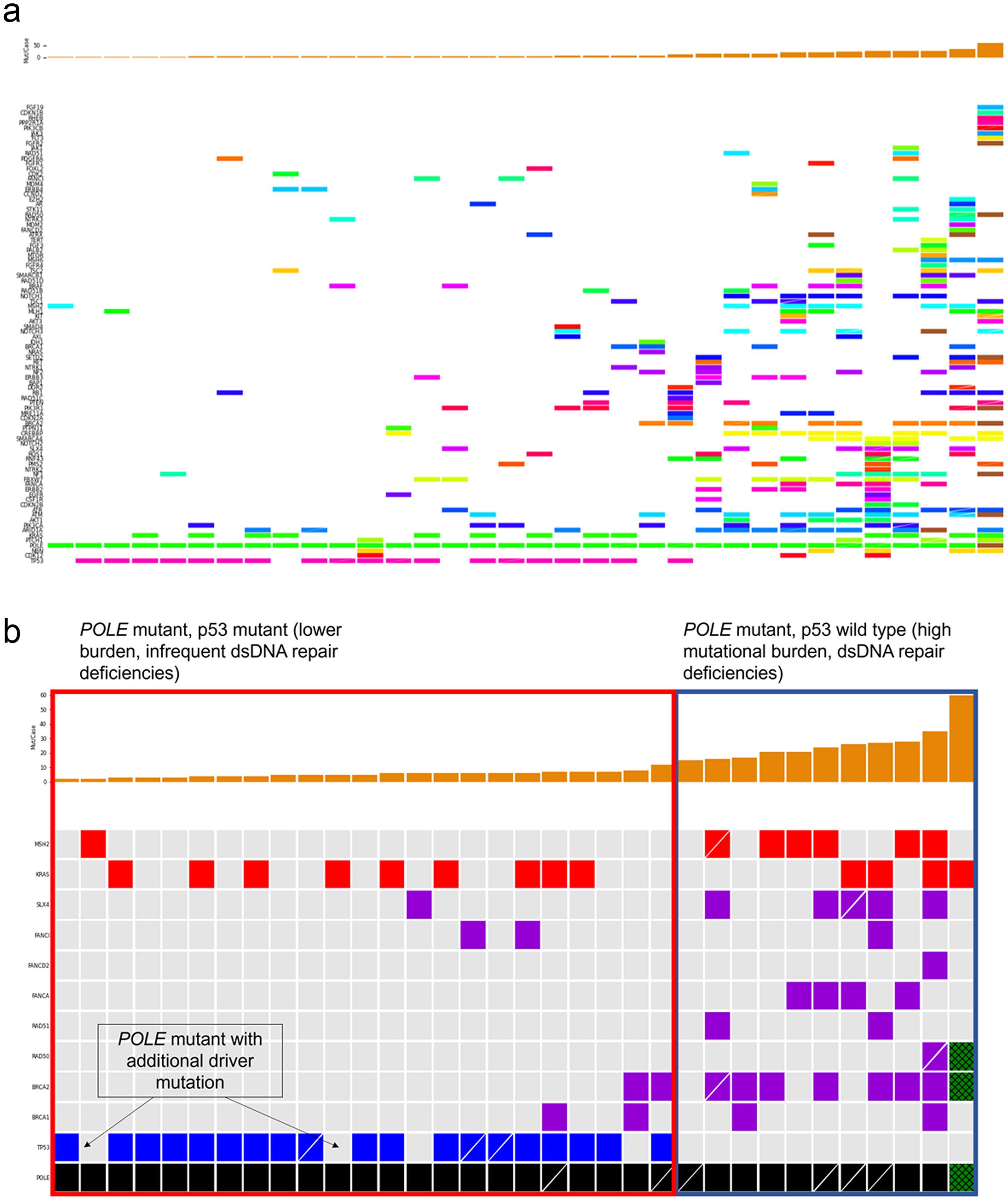 Co-mutation plot and a subset genes.
