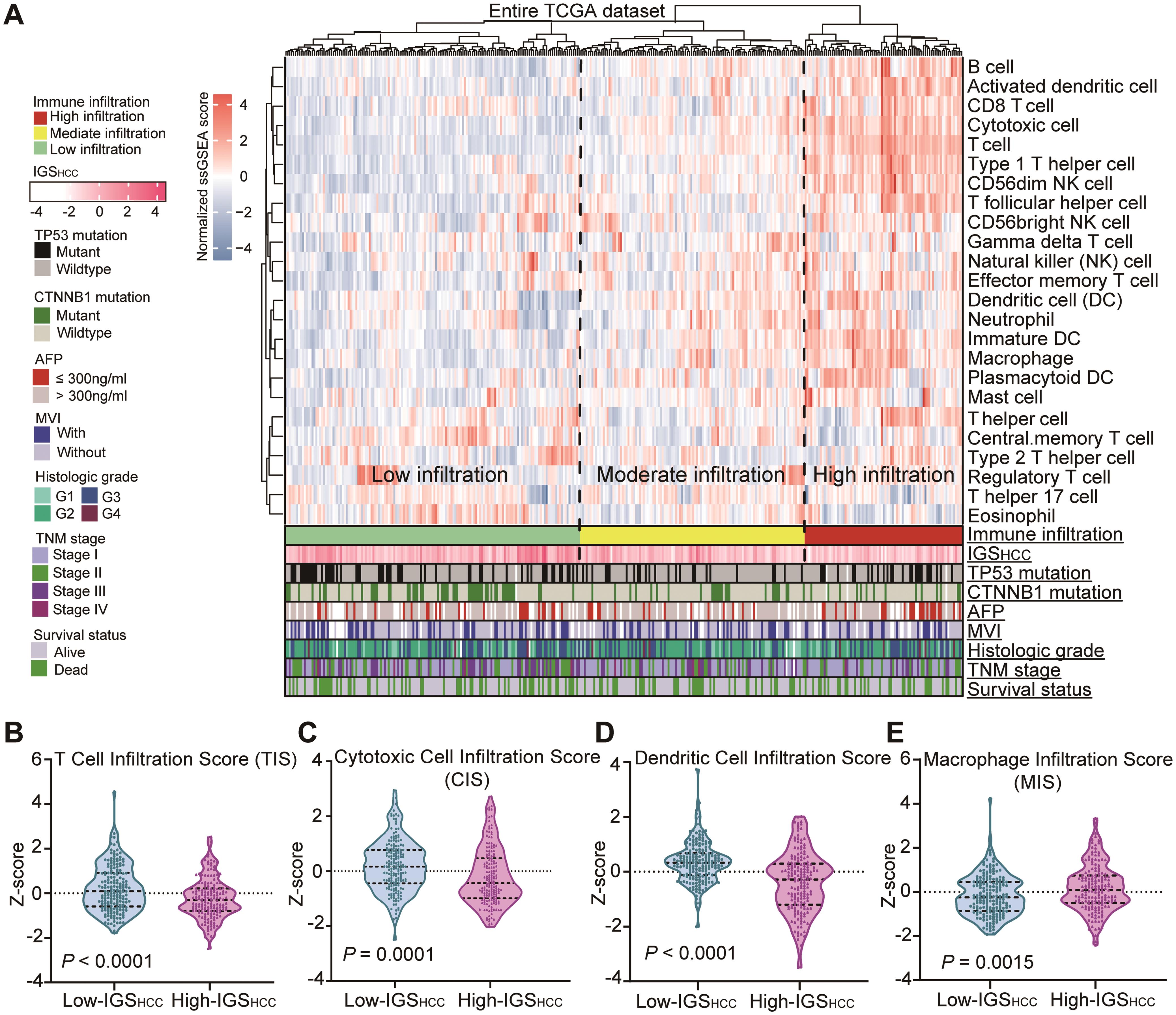 IGS<sub>HCC</sub> distinguished HCC patients with contrasting immune microenvironments.