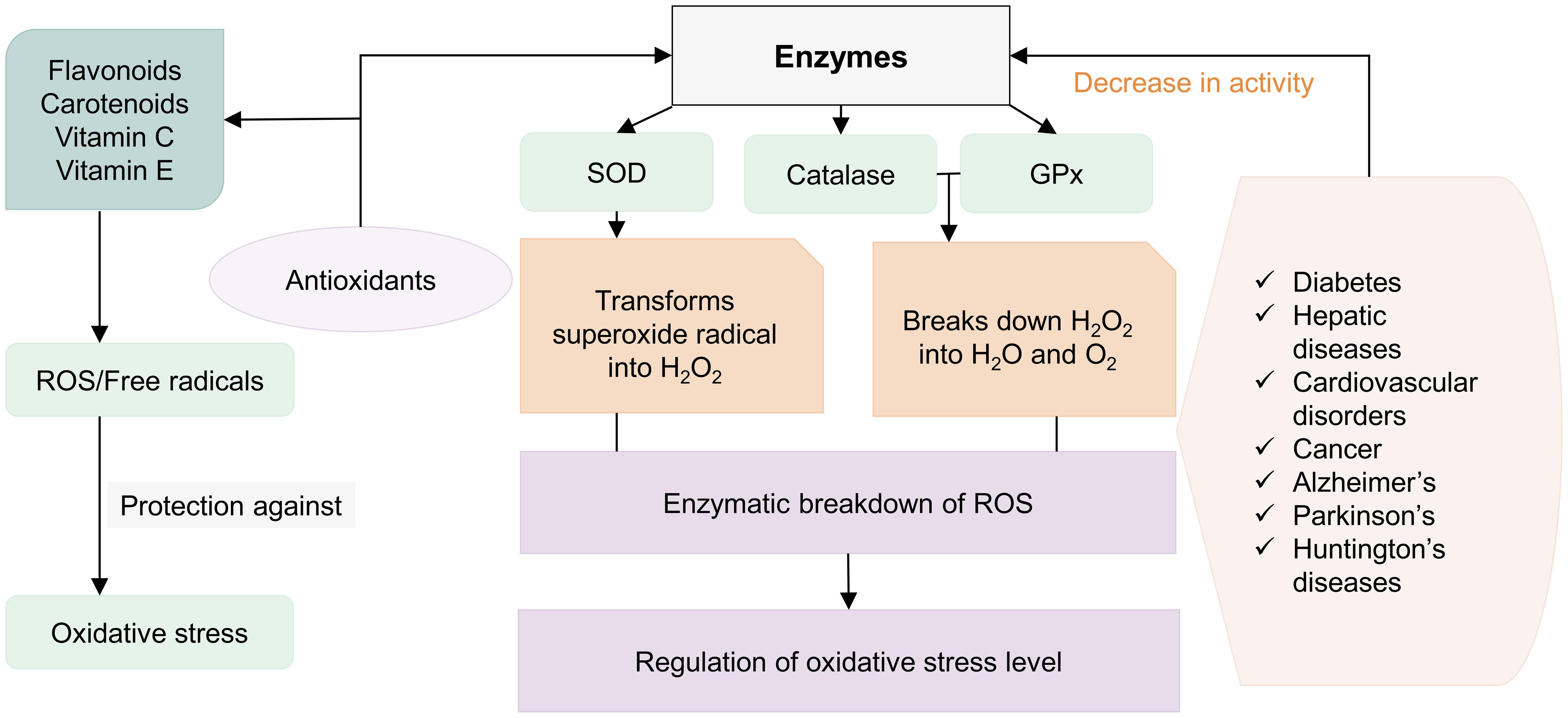 Interactions between antioxidants and enzymes in non-communicable diseases.