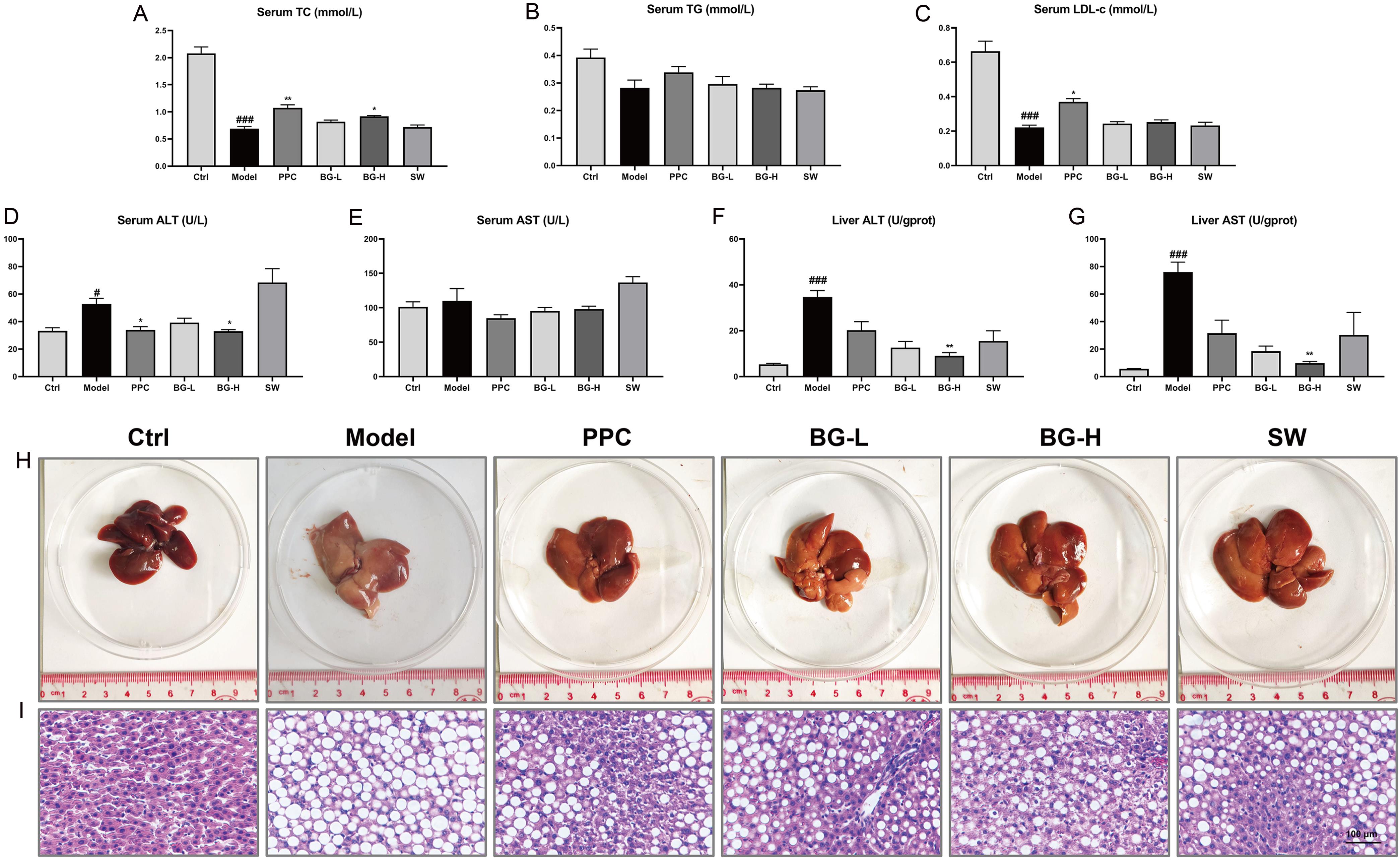 Effect of BGXZW and SWQGT on rats in each group.