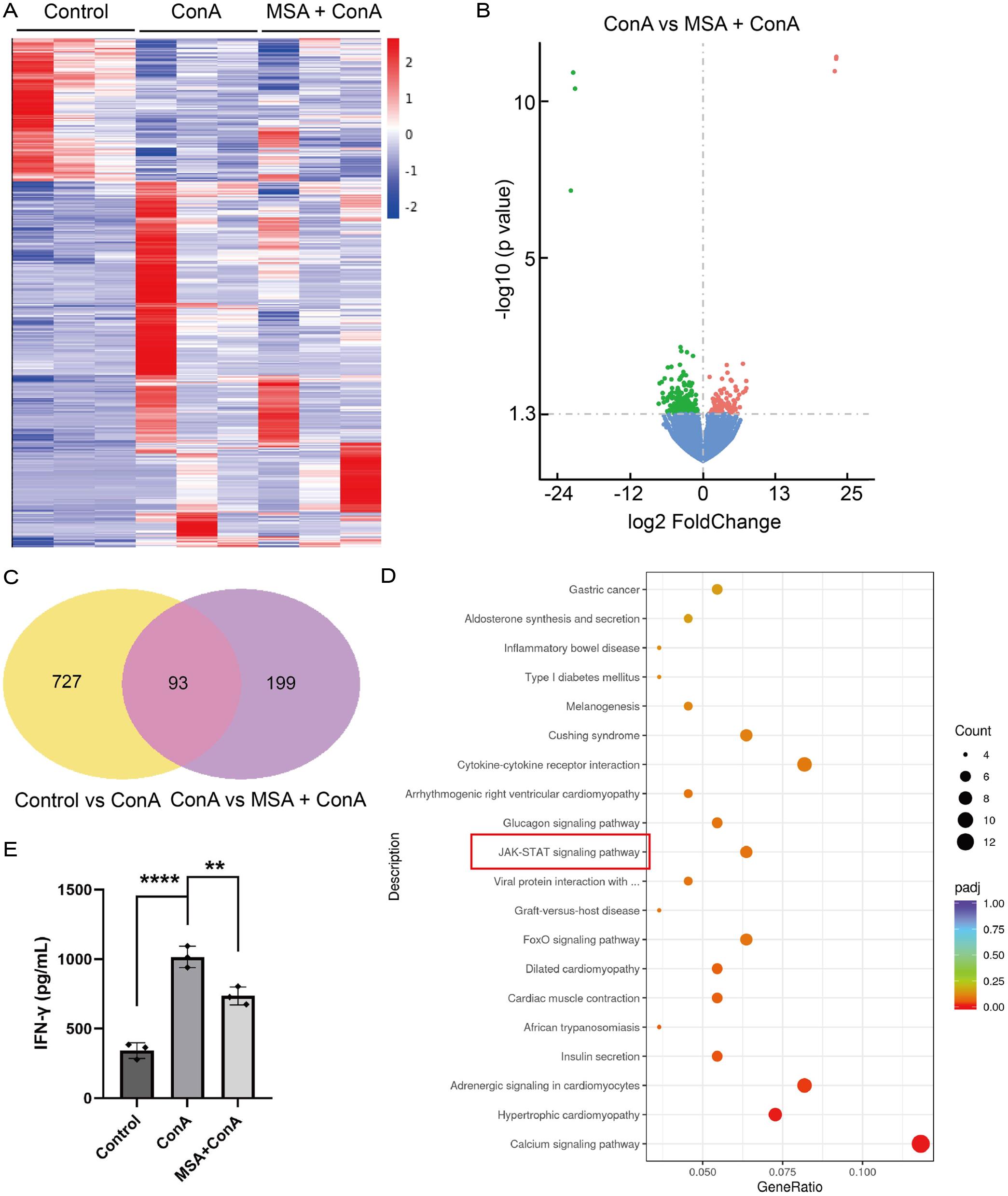 Altered gene expressions and enriched pathways in ConA-induced AIH with/without MSA pretreatment.
