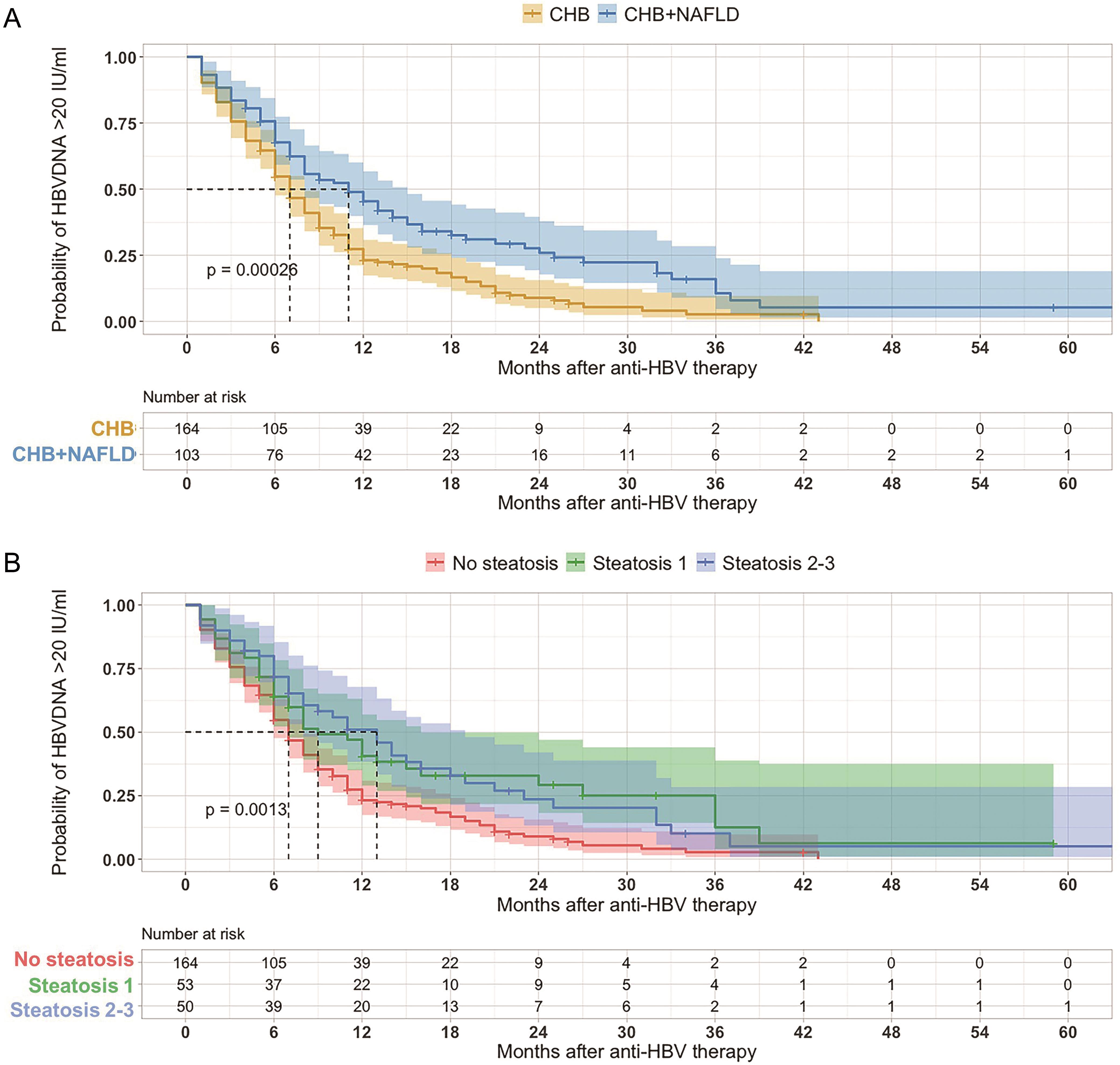 Kaplan-Meier survival curves of percent complete virological response (CVR) in HBV-infected patients disaggregated by the concurrence and grade of hepatic steatosis.