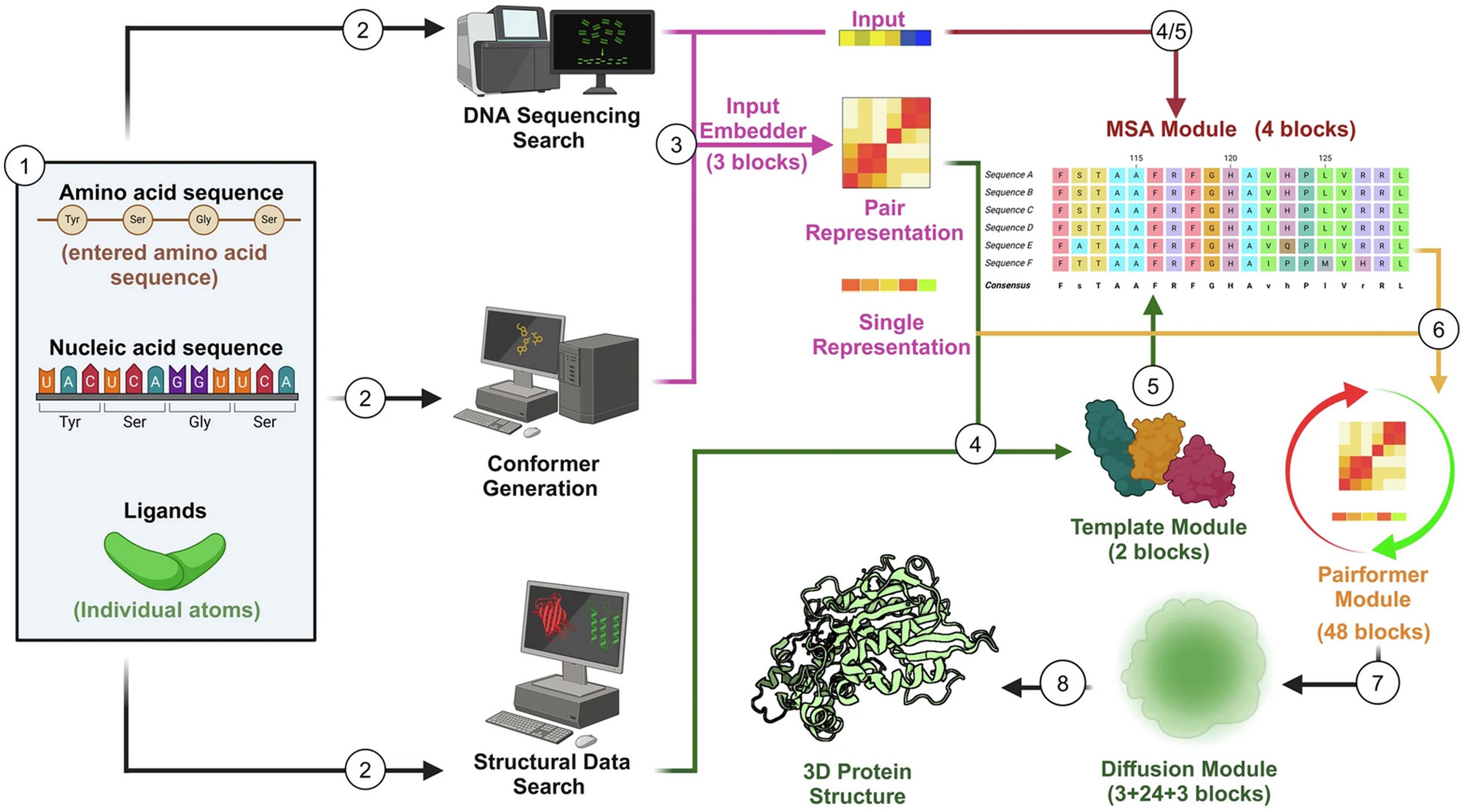 AlphaFold 3’s artificial intelligence (AI) biomolecule prediction/design scheme.