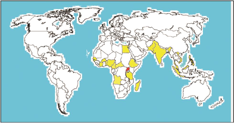 World map of areas where ZIKV infections were detected in the pre-epidemic period.