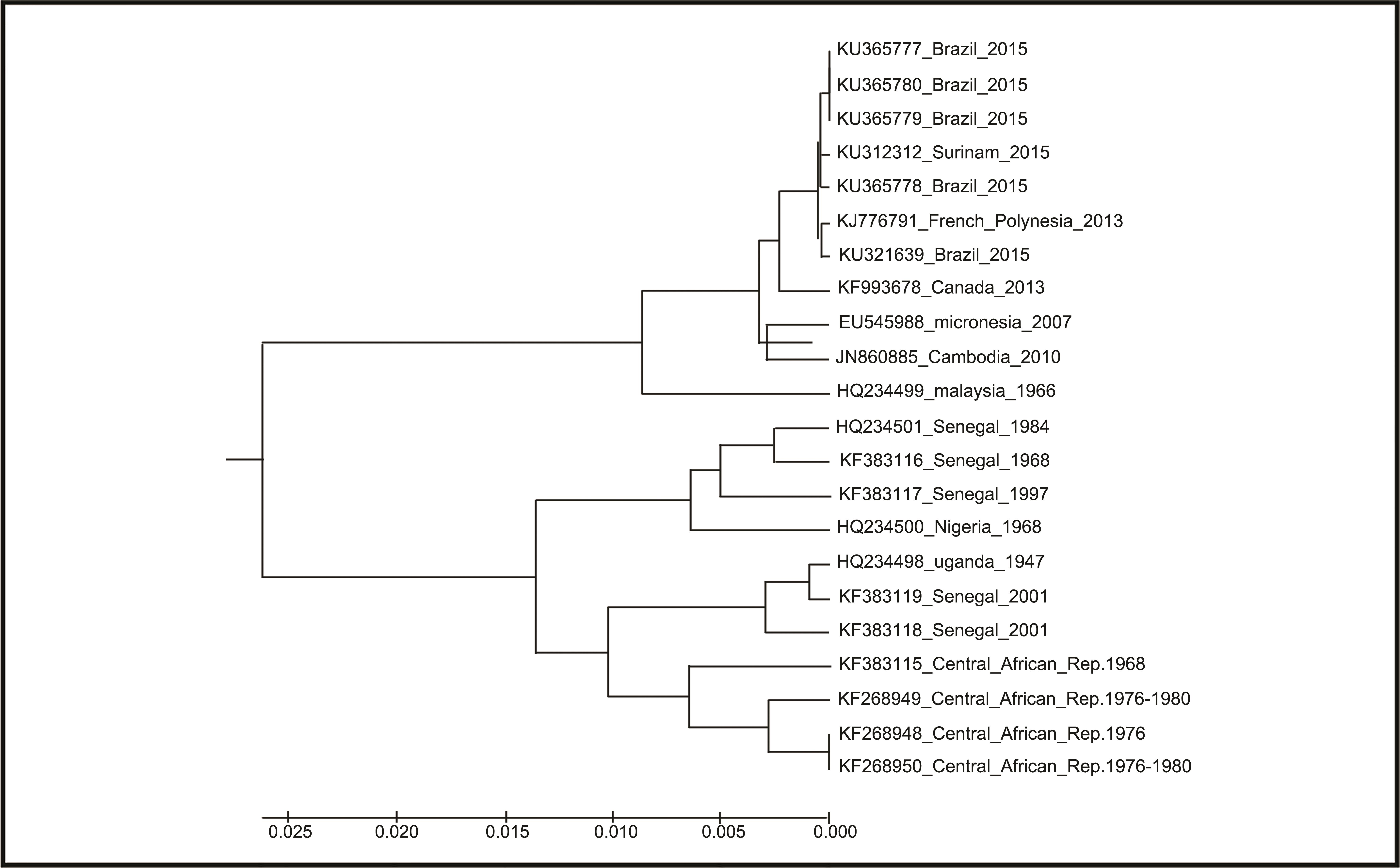 Phylogenetic tree of 22 ZIKV genome sequences.