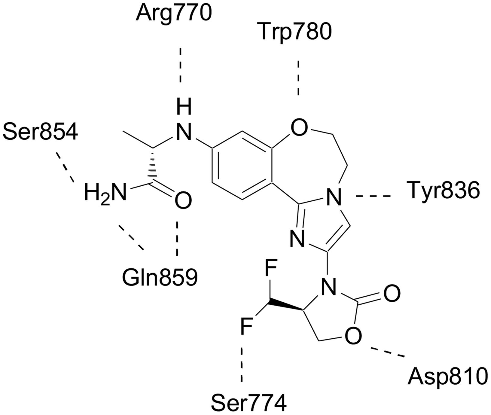 Hydrogen bonding interactions of inavolisib with phosphoinositide 3-kinase alpha (PI3Kα).