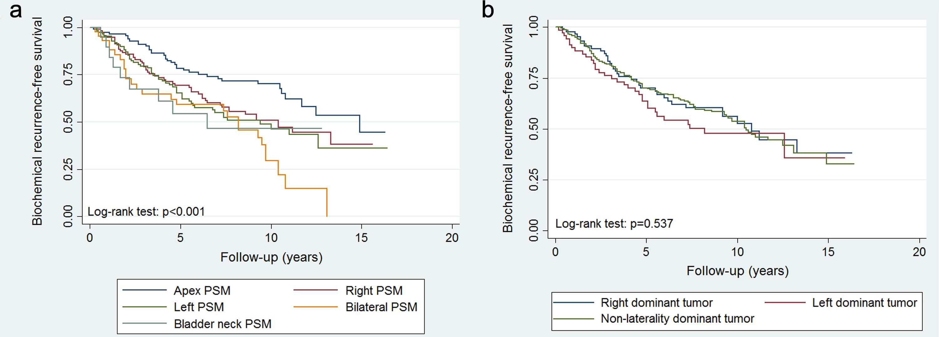 Kaplan-Meier curves showing biochemical recurrence-free survival in all 406 PSM cases stratified by apex PSM vs right PSM vs left PSM vs bilateral PSM vs bladder neck PSM (a) and right dominant tumor vs left dominant tumor vs non-laterality dominant tumor (b).
