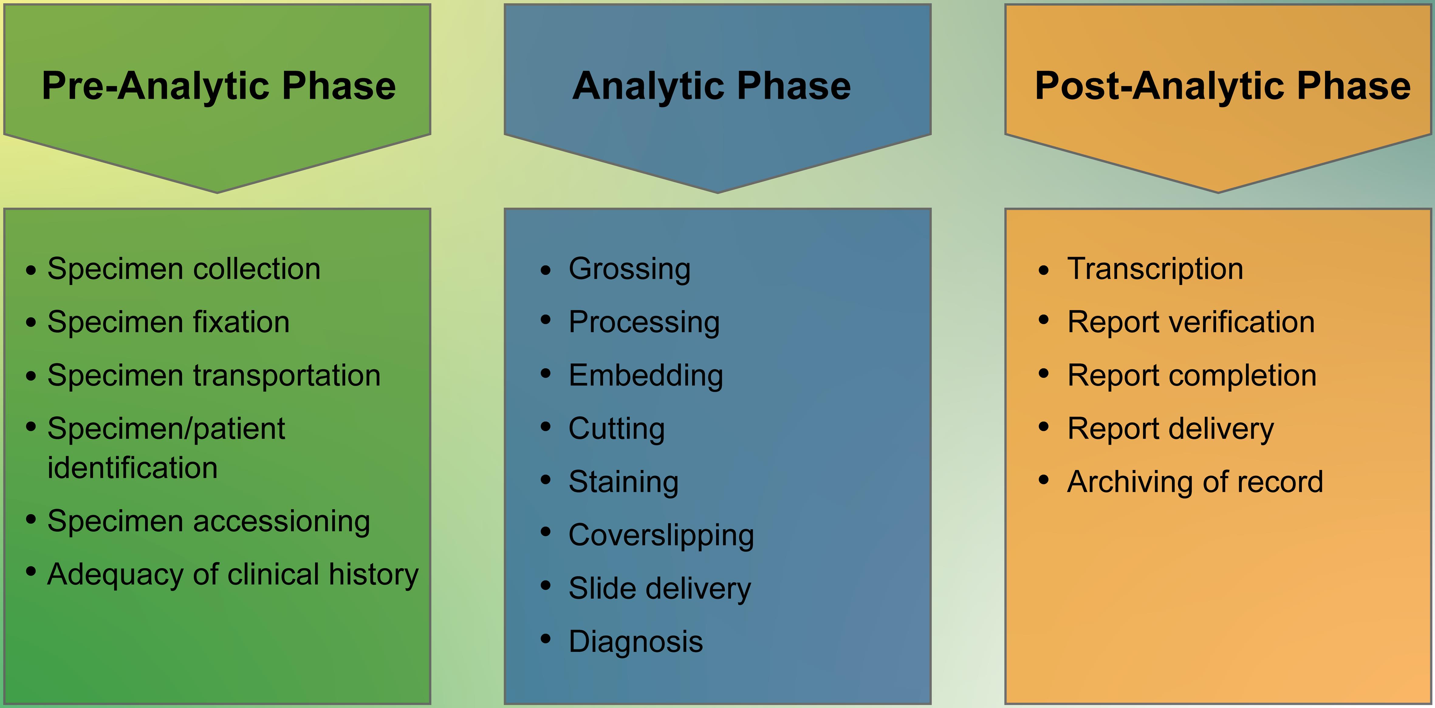 Schematic diagram of different phases of the laboratory testing cycle and their components in a histopathology laboratory.