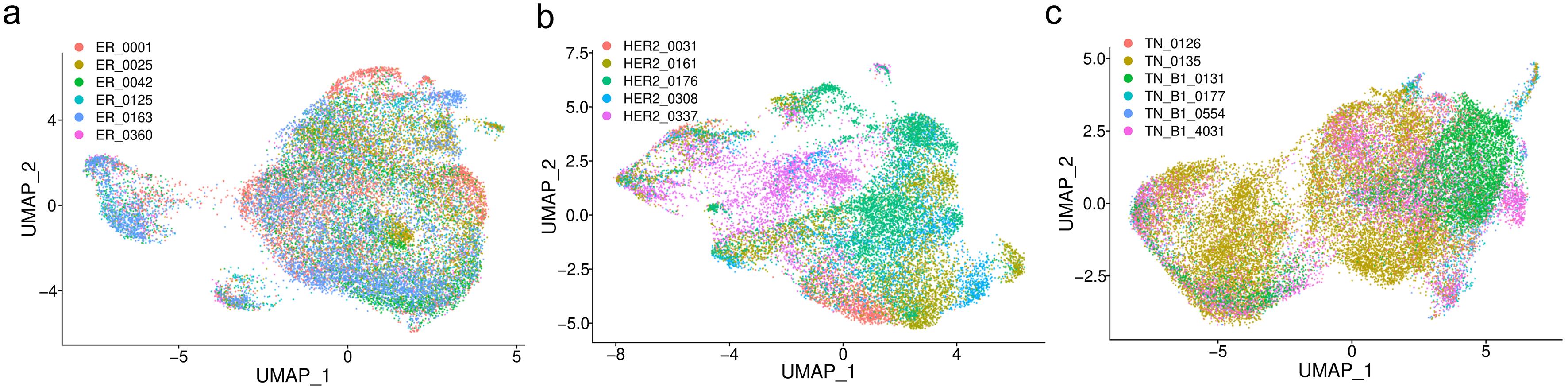 UMAP visualization of cancer subtypes.
