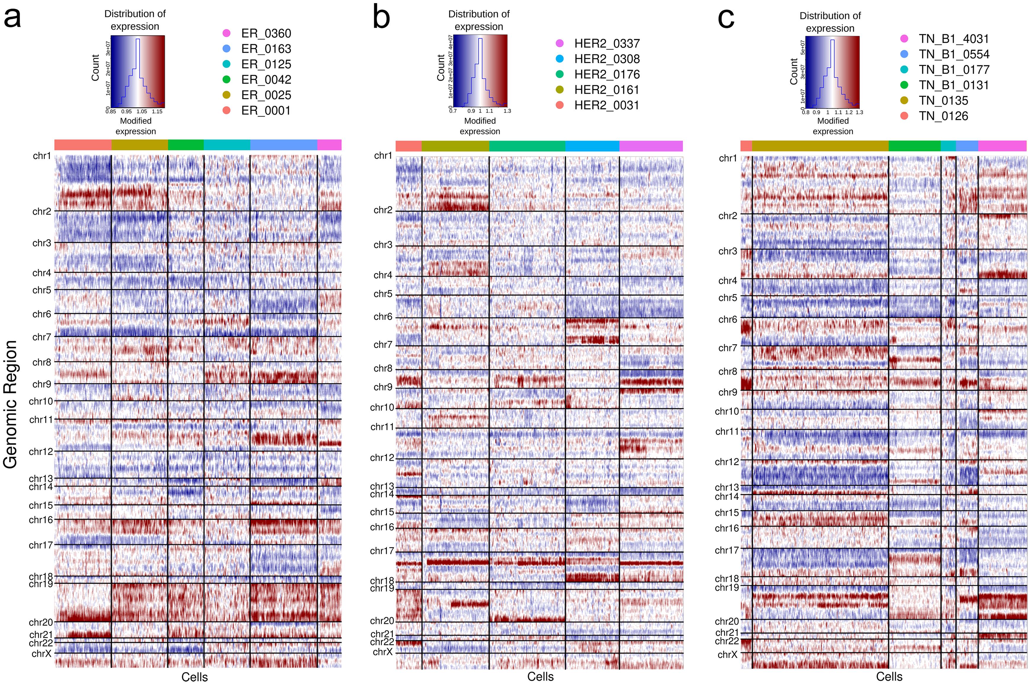 Heatmap plots displaying the CNA.