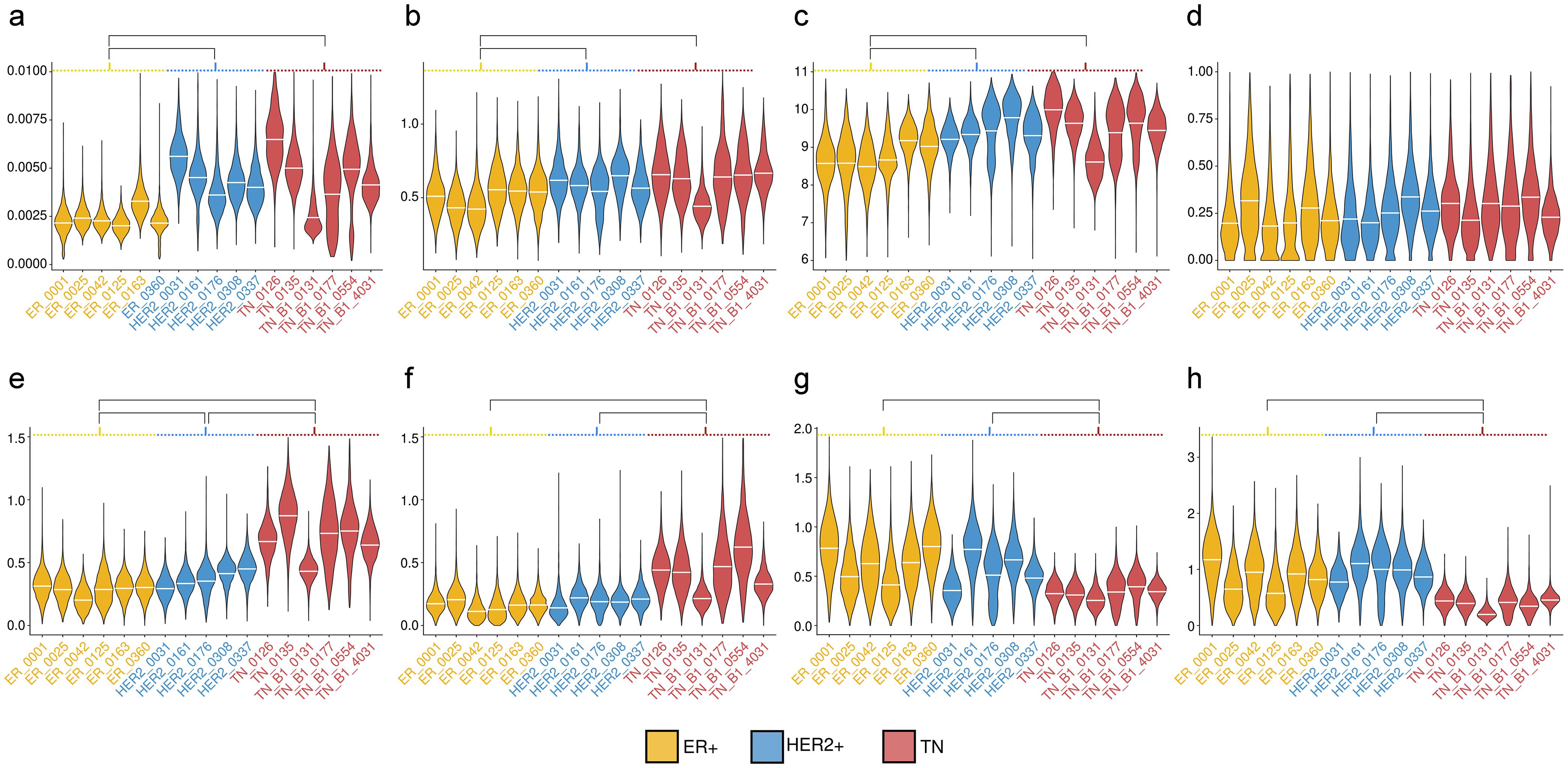 Violin plots of the scores.
