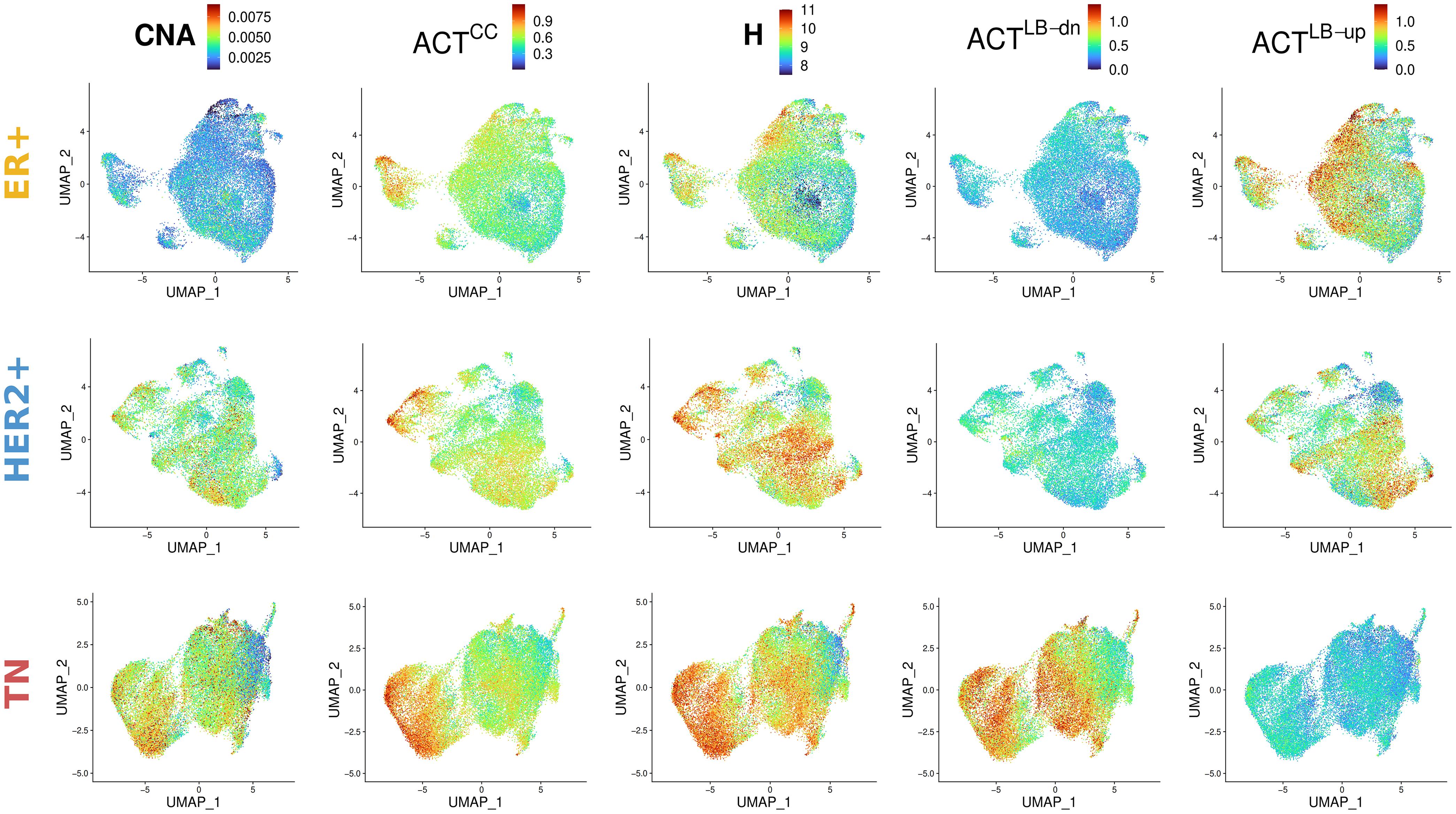 Scores across cell populations of the three cancer subtypes.
