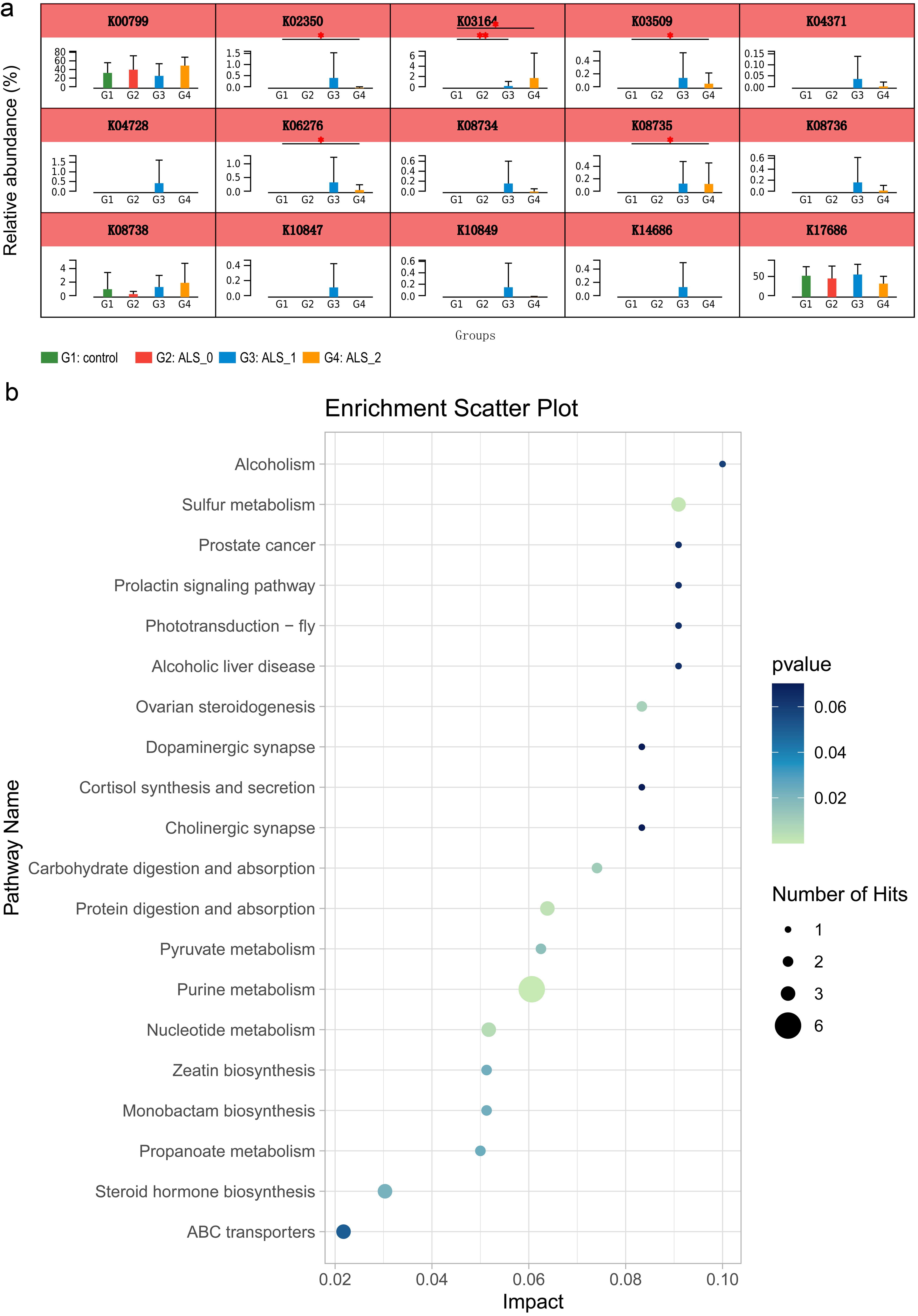 KEGG pathway analysis in ALS patients.