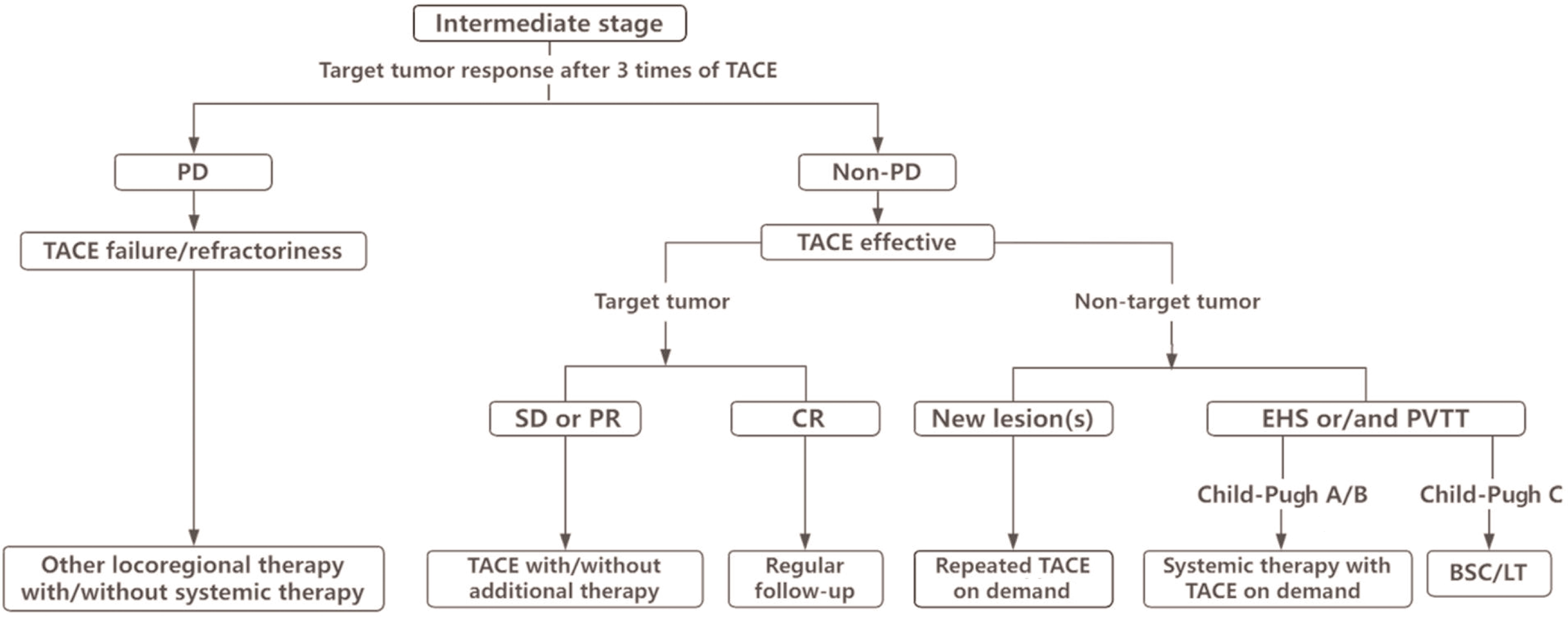 Algorithm decision tree for judging TACE failure/refractoriness and recommending subsequent treatment.