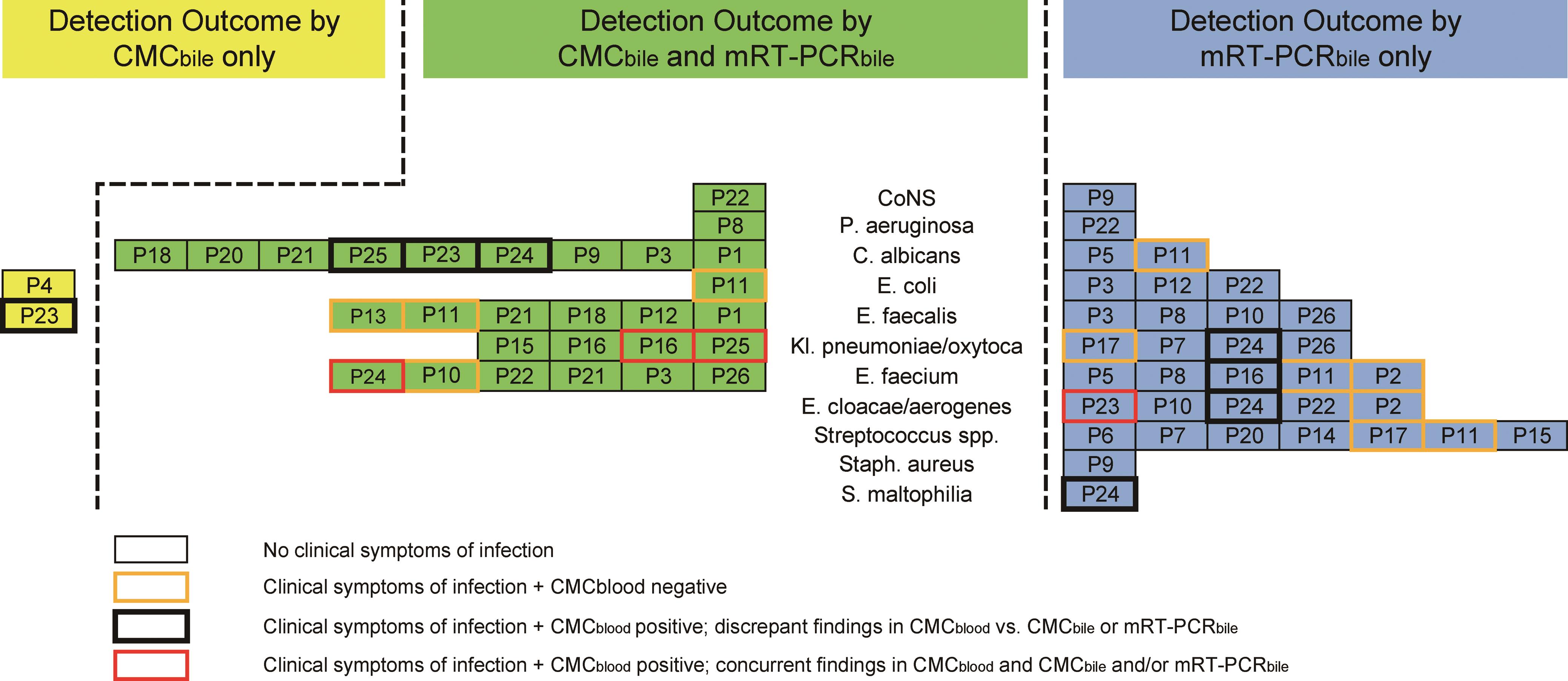 Pathogen detection in bile samples by mRT-PCR and CMC.