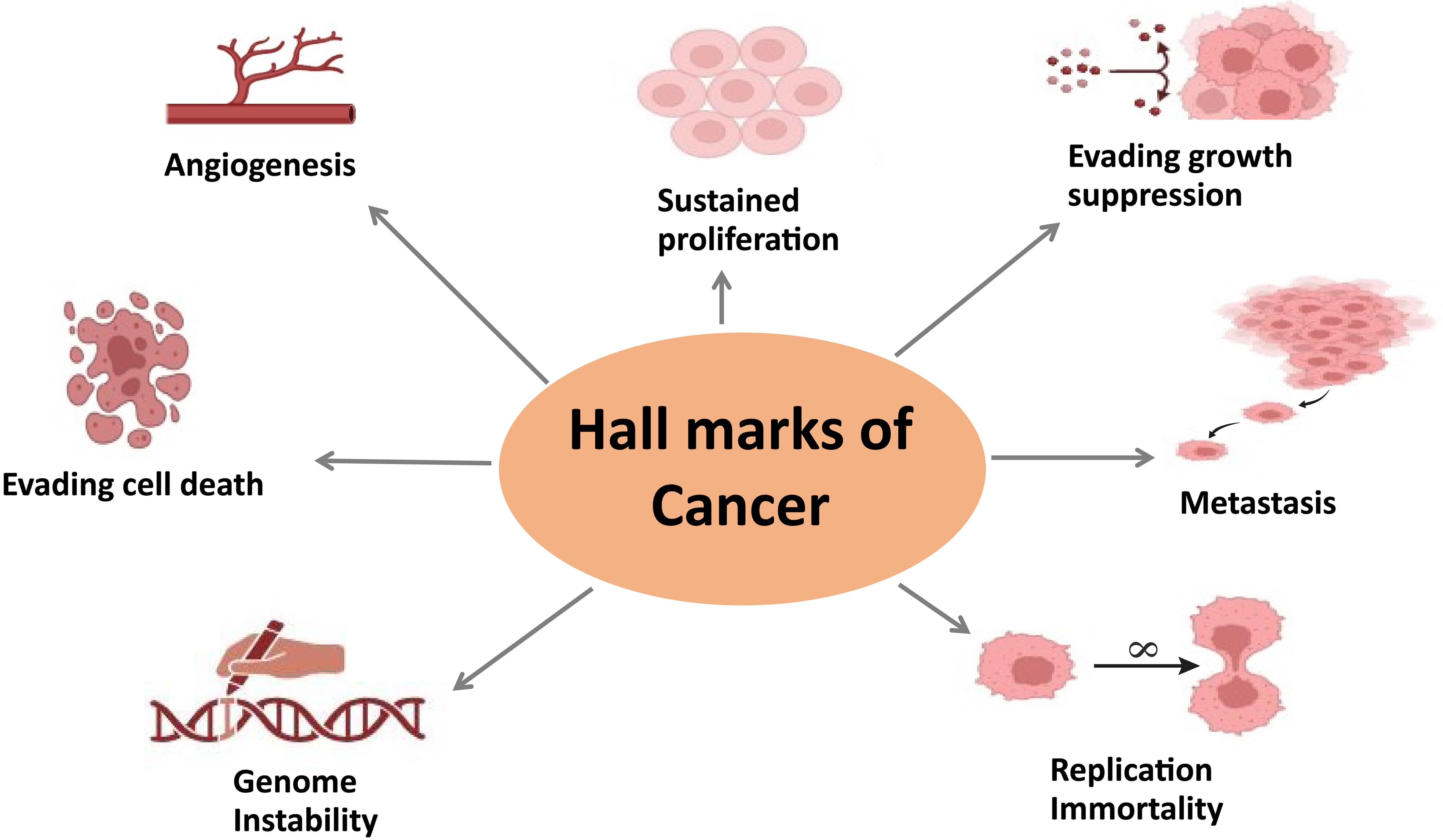 Seven cancer hallmarks.