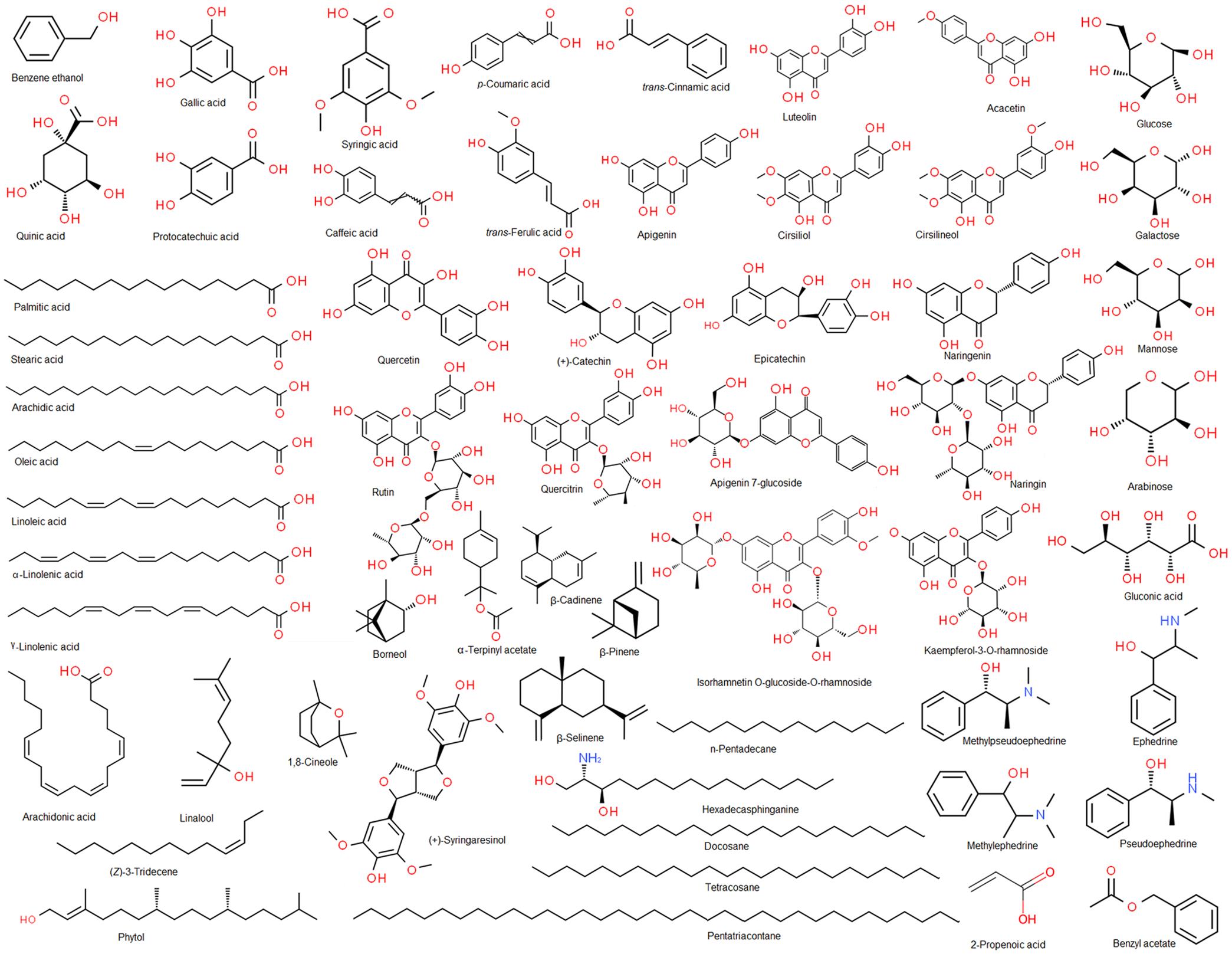 Structures of the phytochemicals present in <italic>Ephedra alata.</italic>