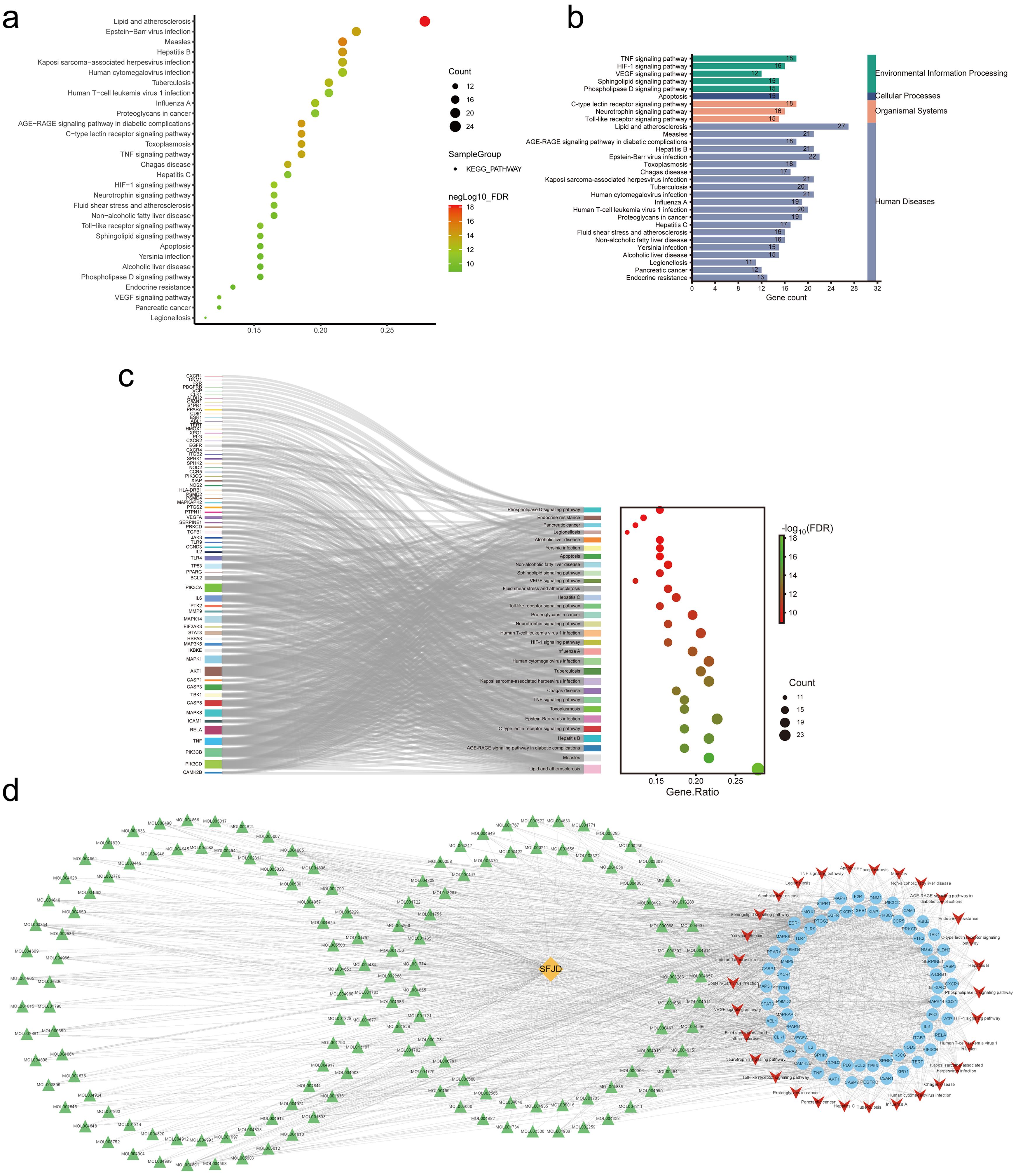 KEGG functional enrichment analysis of potential therapeutic targets of SFJD in the treatment of influenza and network construction of important pathways.