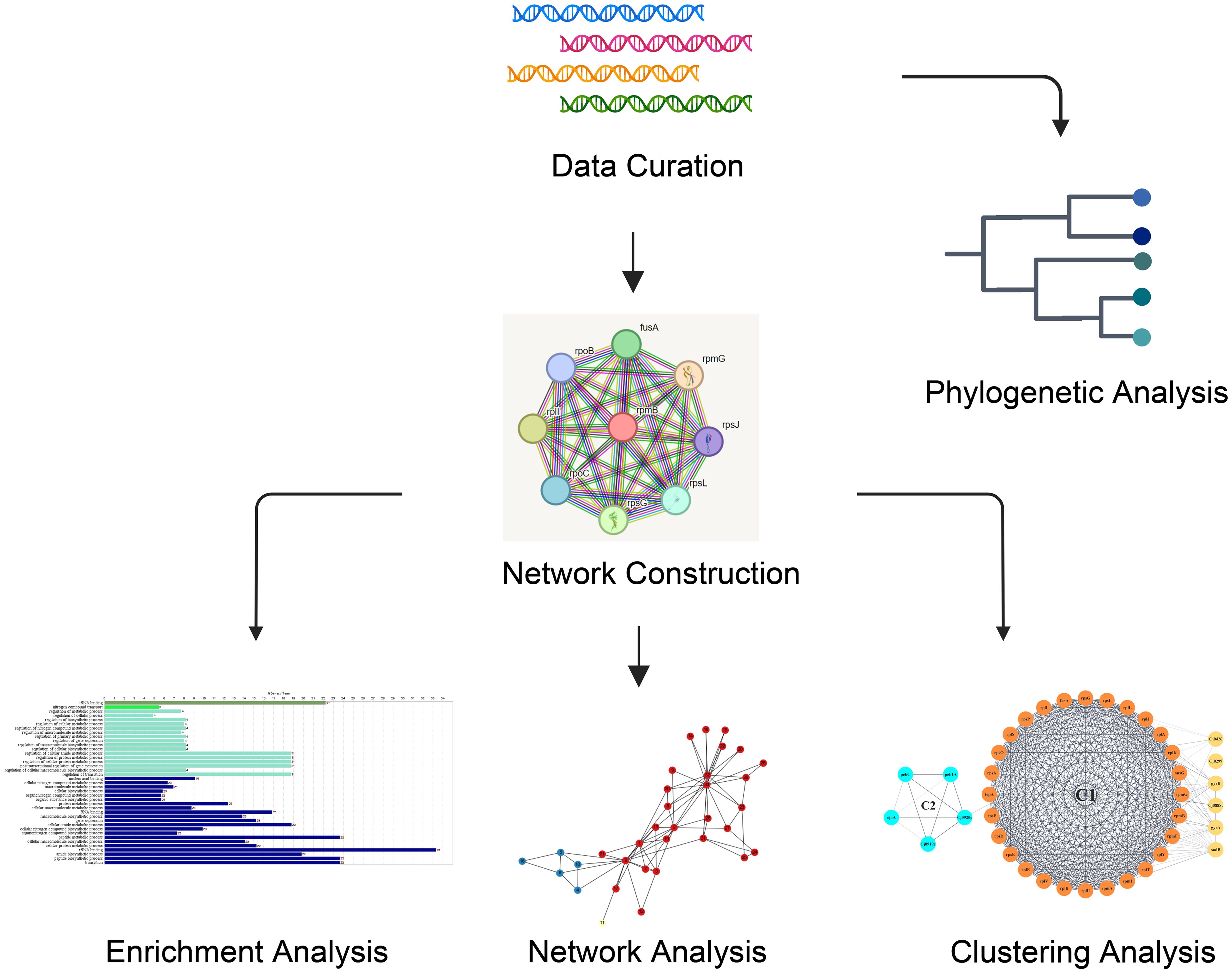 Visual representation of the methodology involved in the study.