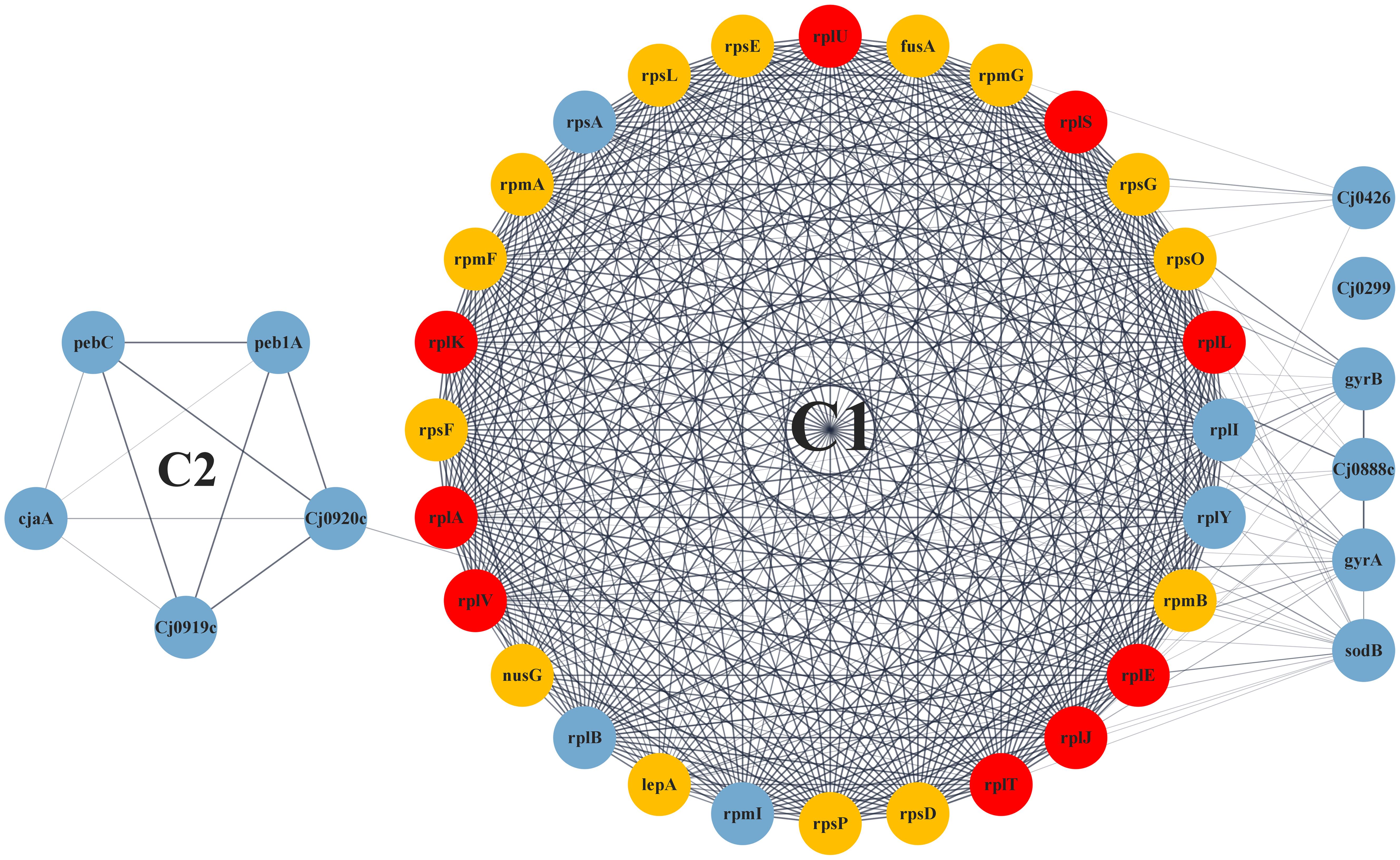 Enrichment of the AMR (antimicrobial resistance) genes using ClueGO involved in BPs.
