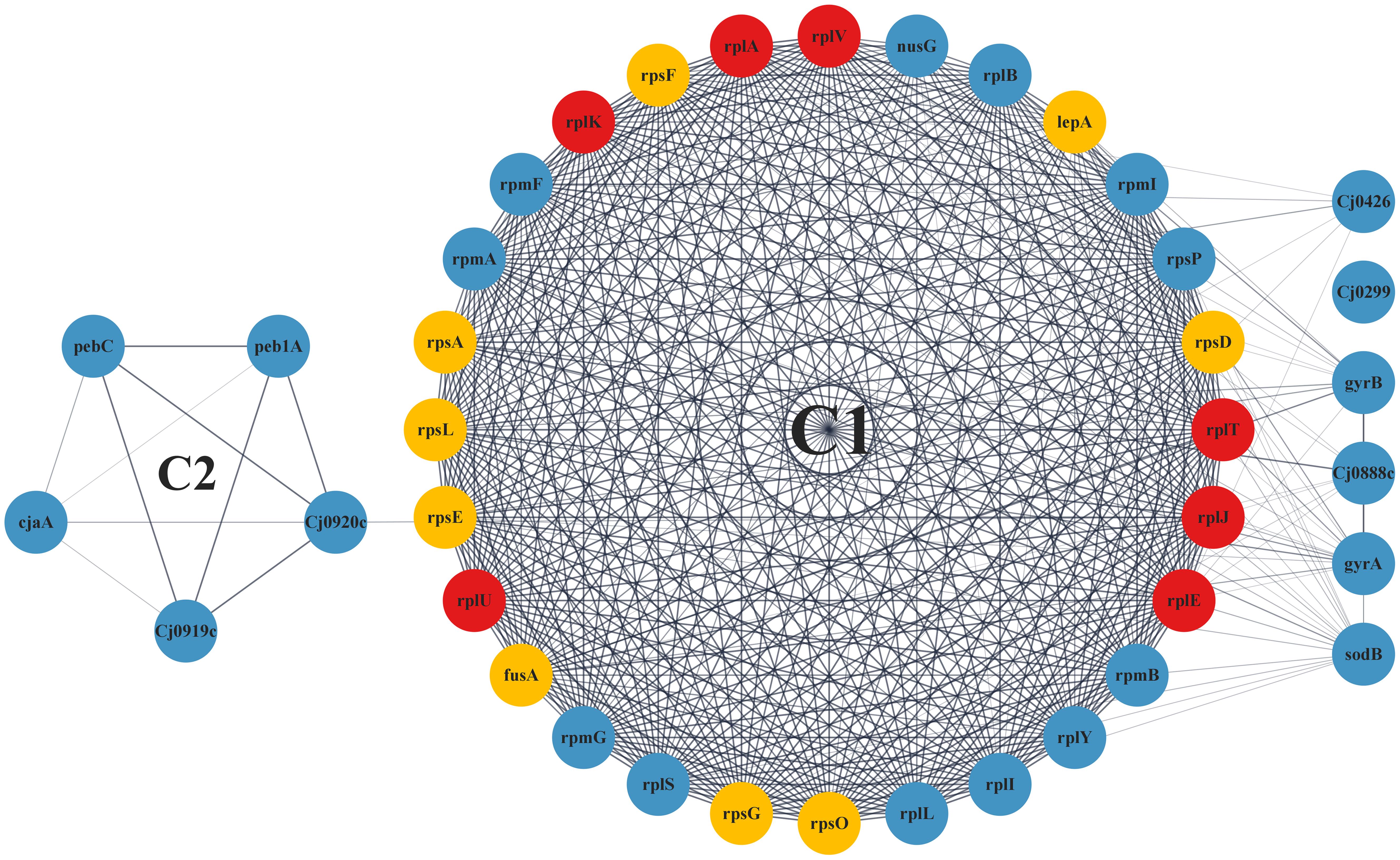 Enrichment of the AMR (antimicrobial resistance) genes using ClueGO involved in MFs.