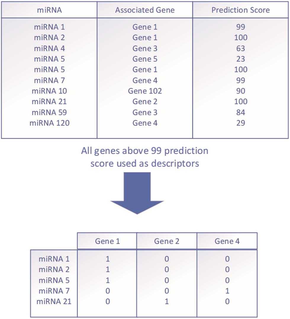 miRNA descriptors based on target genes.