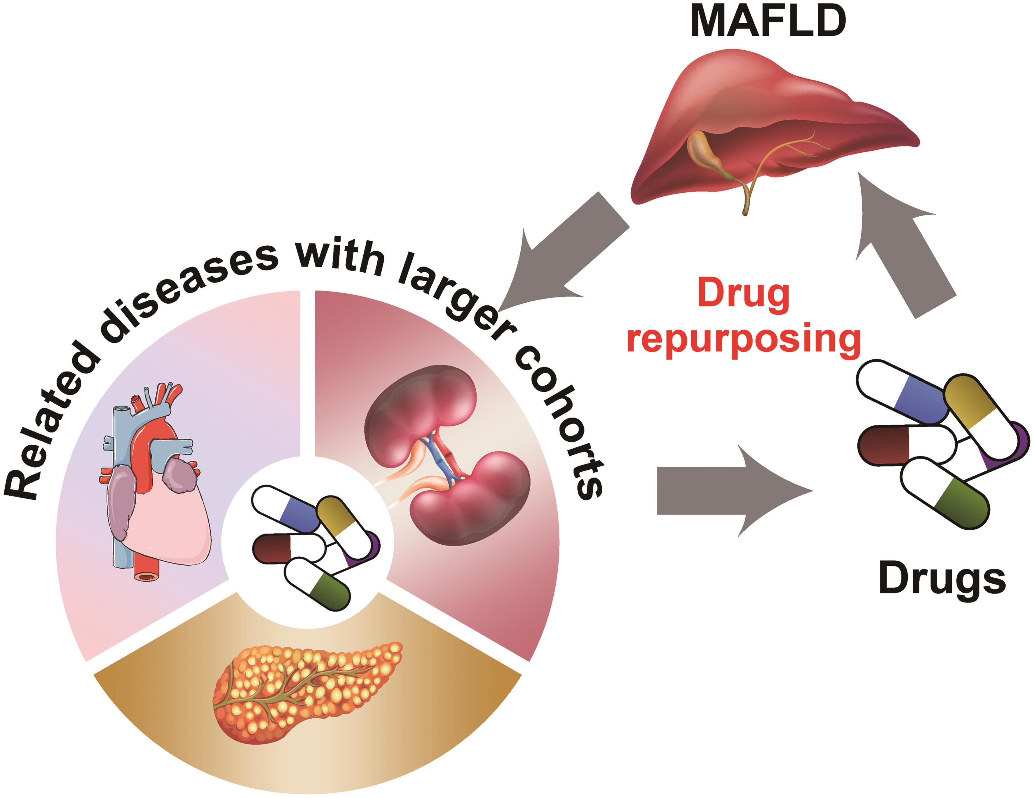 Redefinition of fatty liver disease from <italic>NAFLD</italic> to <italic>MAFLD</italic> can guide drug repurposing in fatty liver disease.
