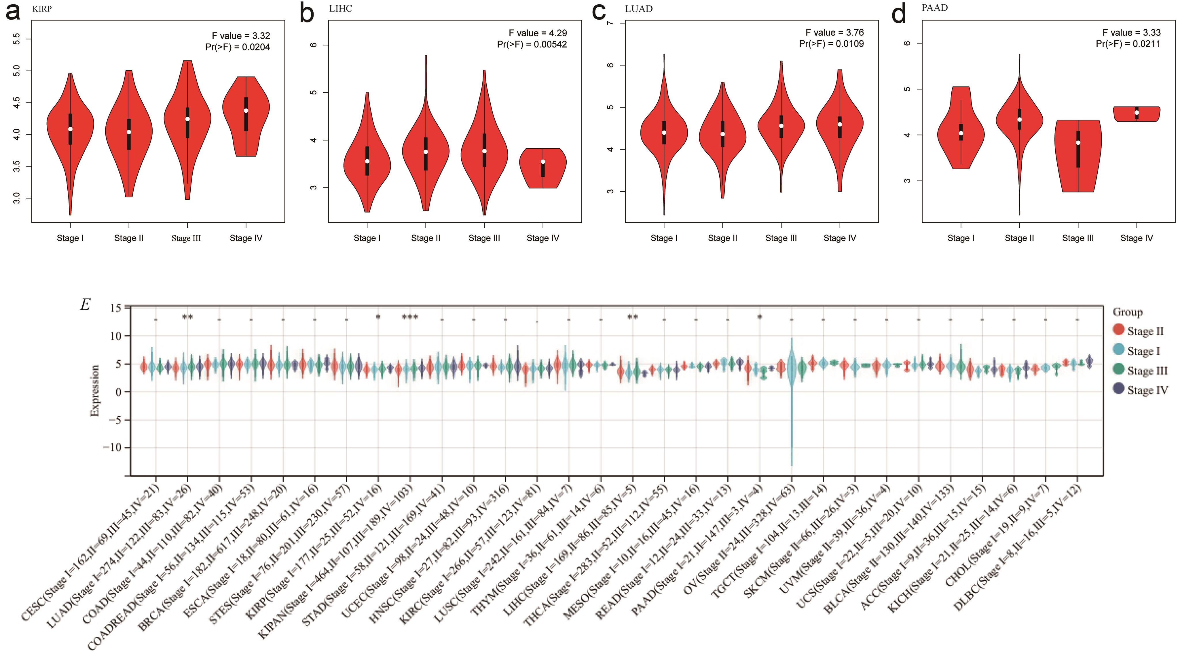 Association between <italic>NAT10</italic> expression and pathological stage across cancer types.