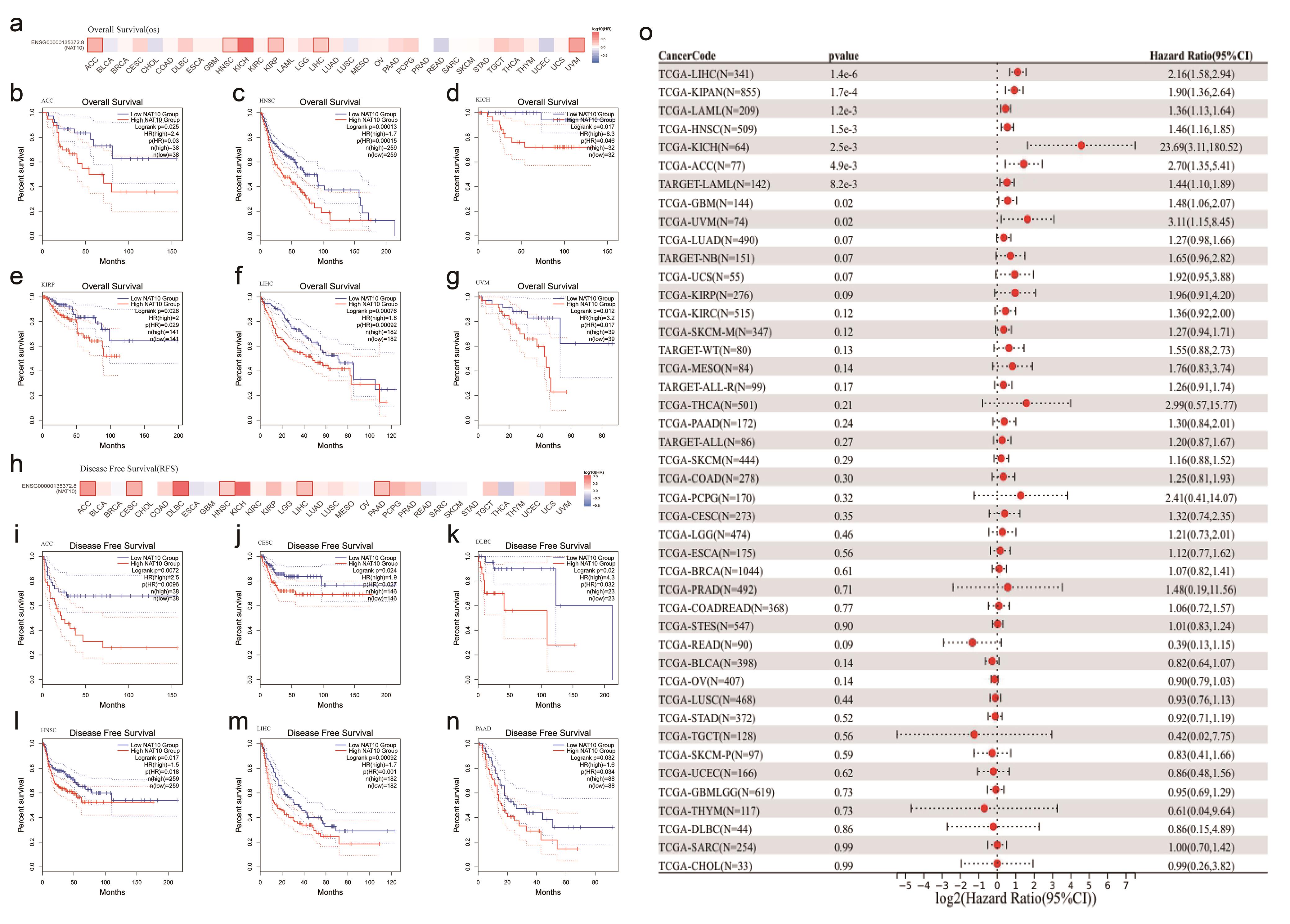 Association between <italic>NAT10</italic> expression and survival outcomes across cancer types.
