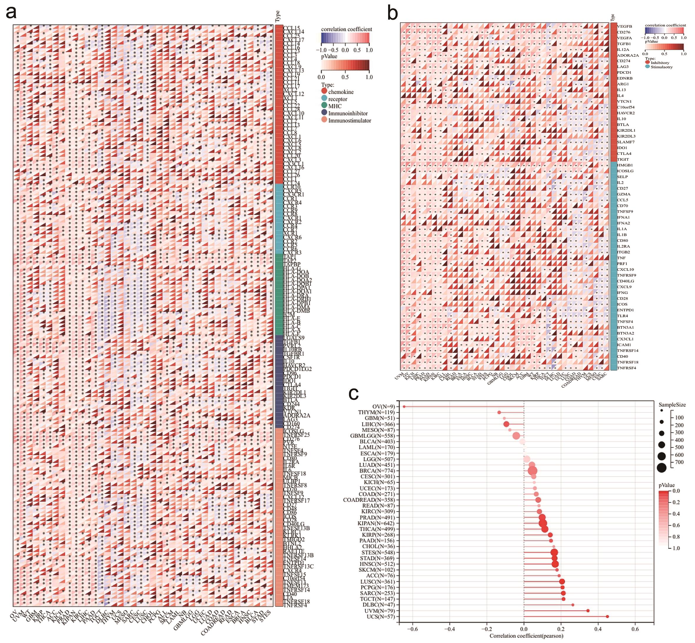 Associations between <italic>NAT10</italic> expression and immune-related molecular features.