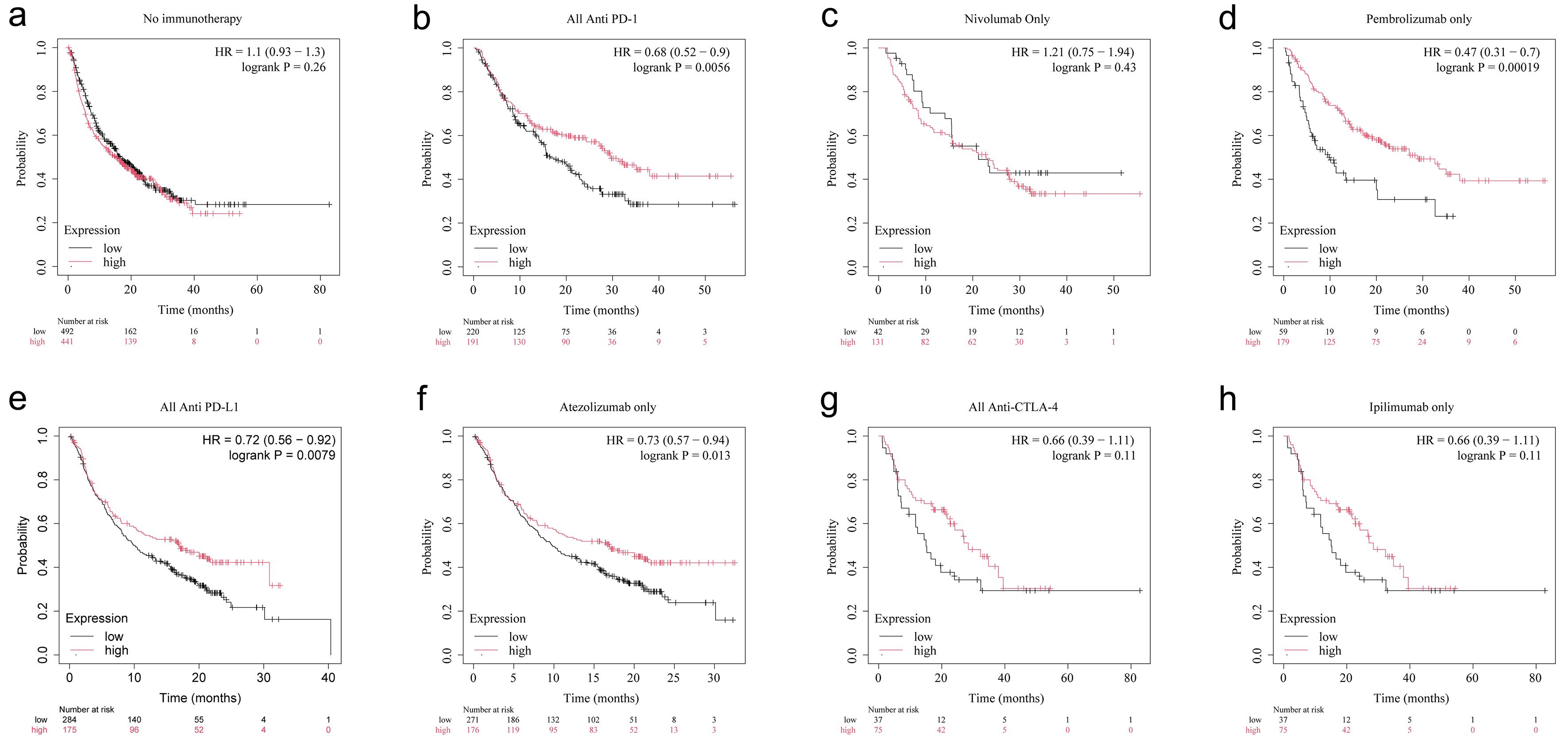 Association between <italic>NAT10</italic> expression and overall survival in immune-checkpoint-blockade cohorts.
