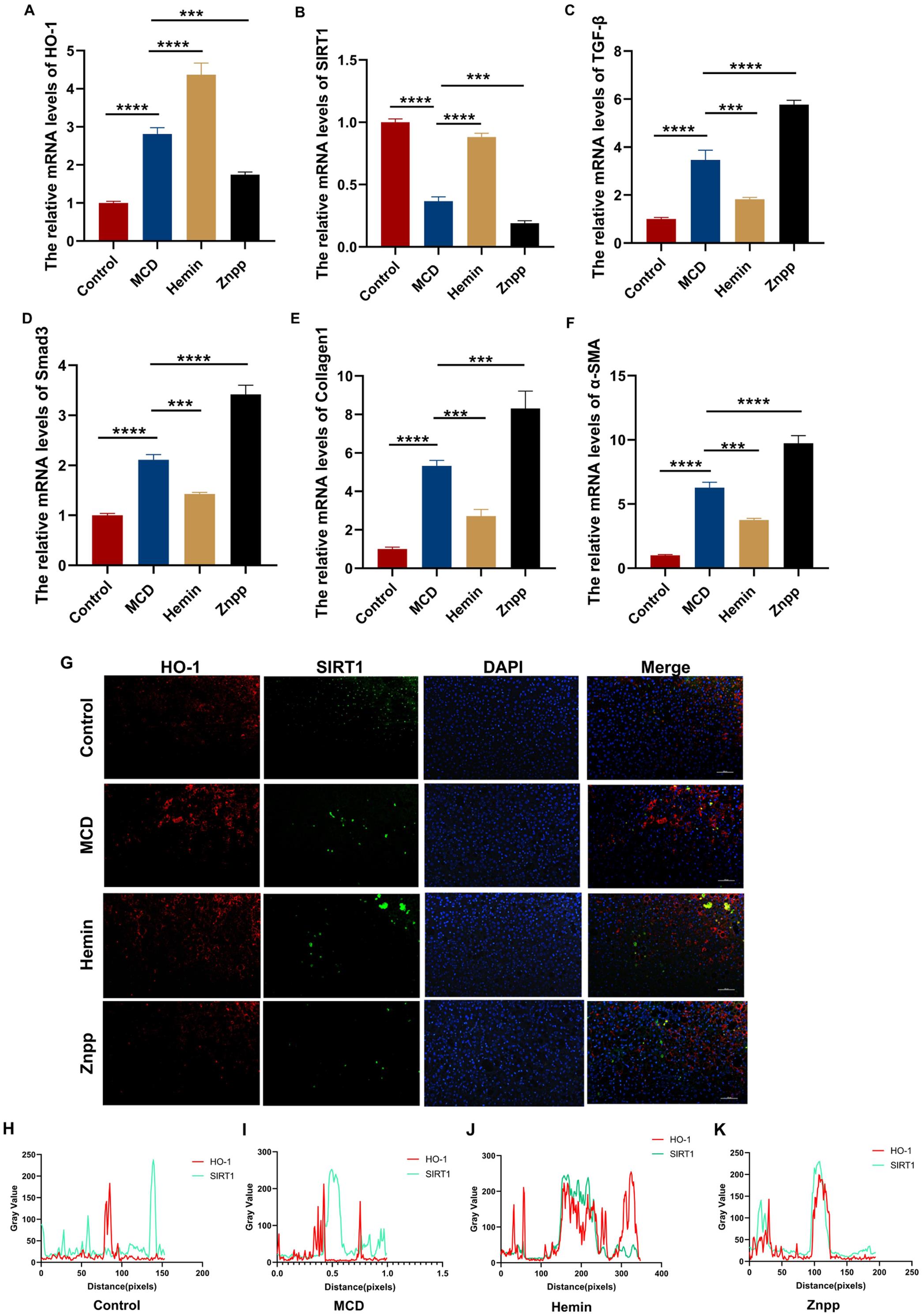 HO-1 agonist ameliorates steatohepatitis-related liver fibrosis in MCD diet-fed mice.