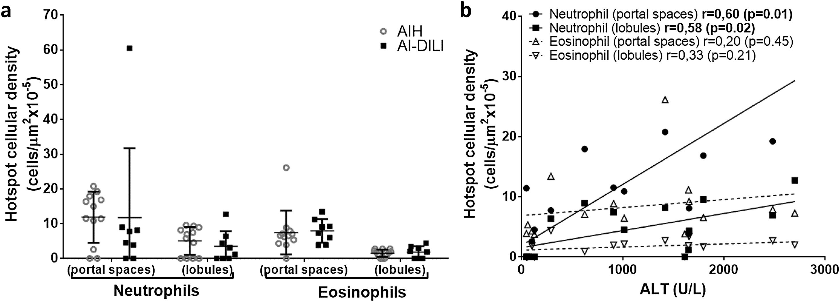 Cellular densities and distribution of neutrophils and eosinophils in AIH versus AI-DILI.