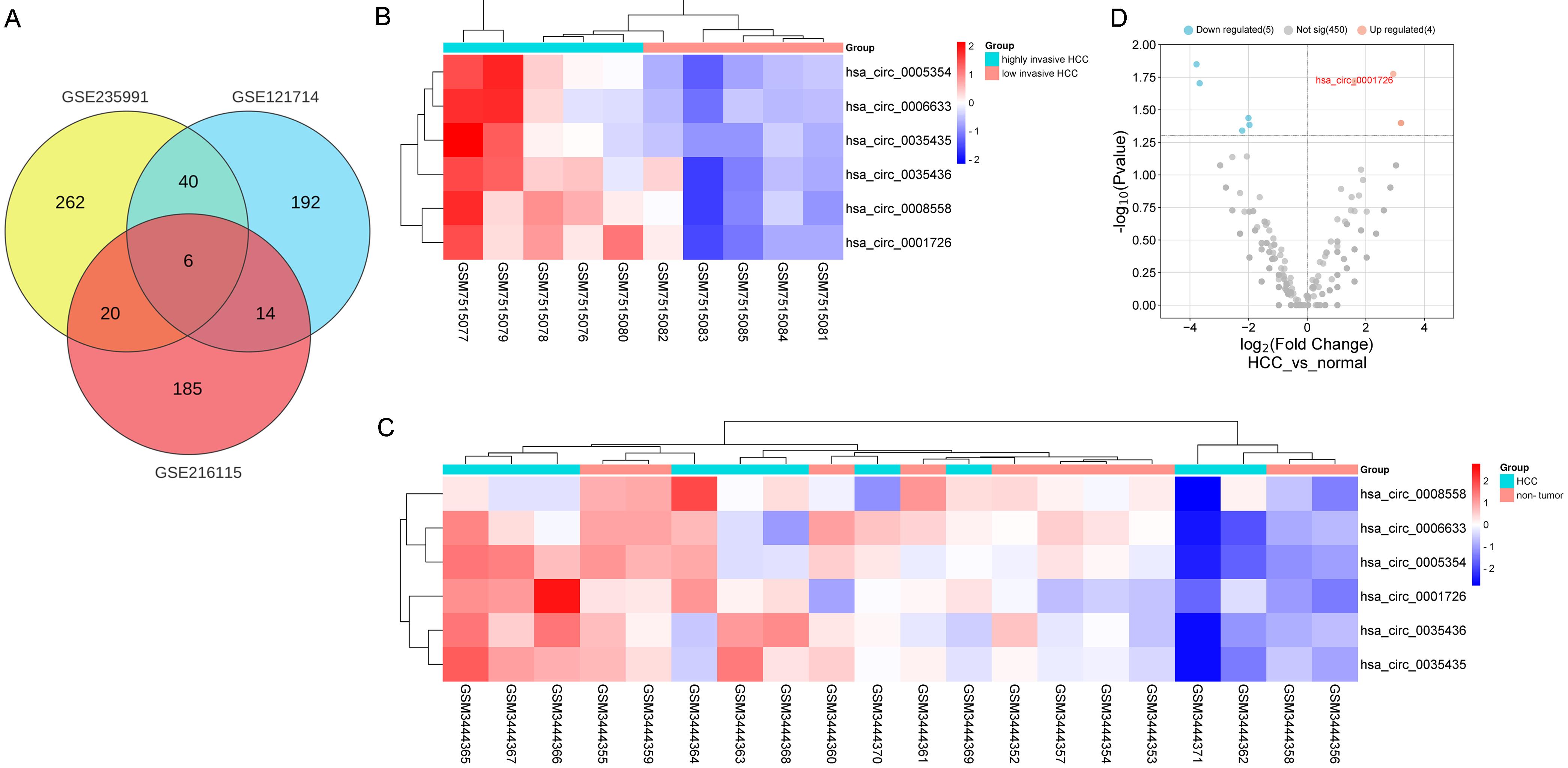 Identification of differentially expressed circRNAs in hepatocellular carcinoma (HCC).