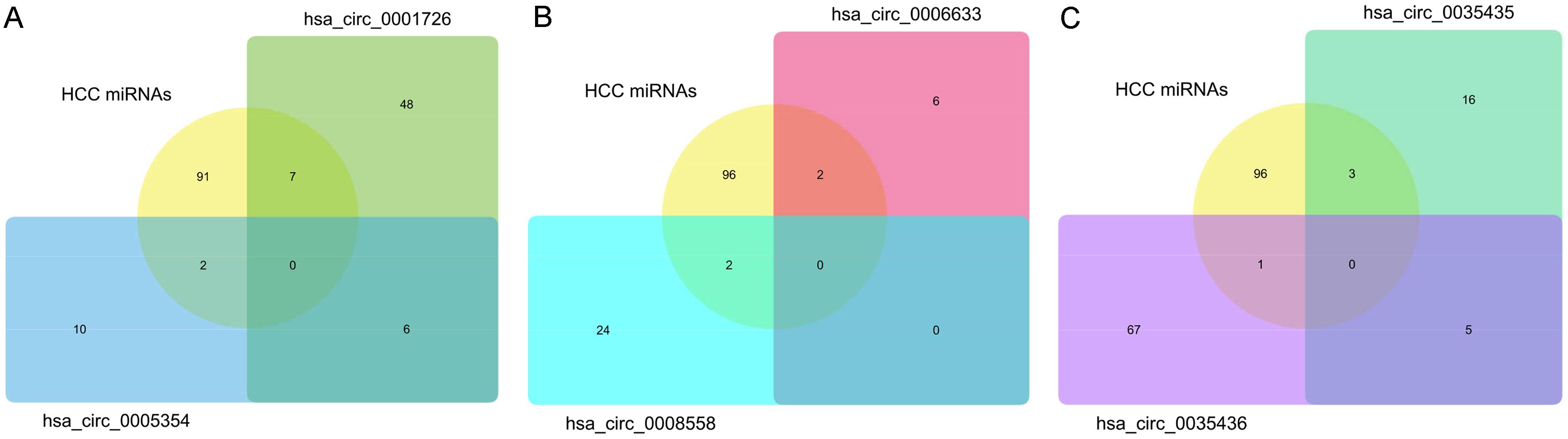 Venn diagrams of the intersection of hsa_circ_0001726/hsa_circ_0005354-targeting miRNAs (A), hsa_circ_0008558/hsa_circ_0006633-targeting miRNAs (B), and hsa_circ_0035436/hsa_circ_0035435-targeting miRNAs with HCC-related differentially expressed miRNAs from GSE80303 (C).