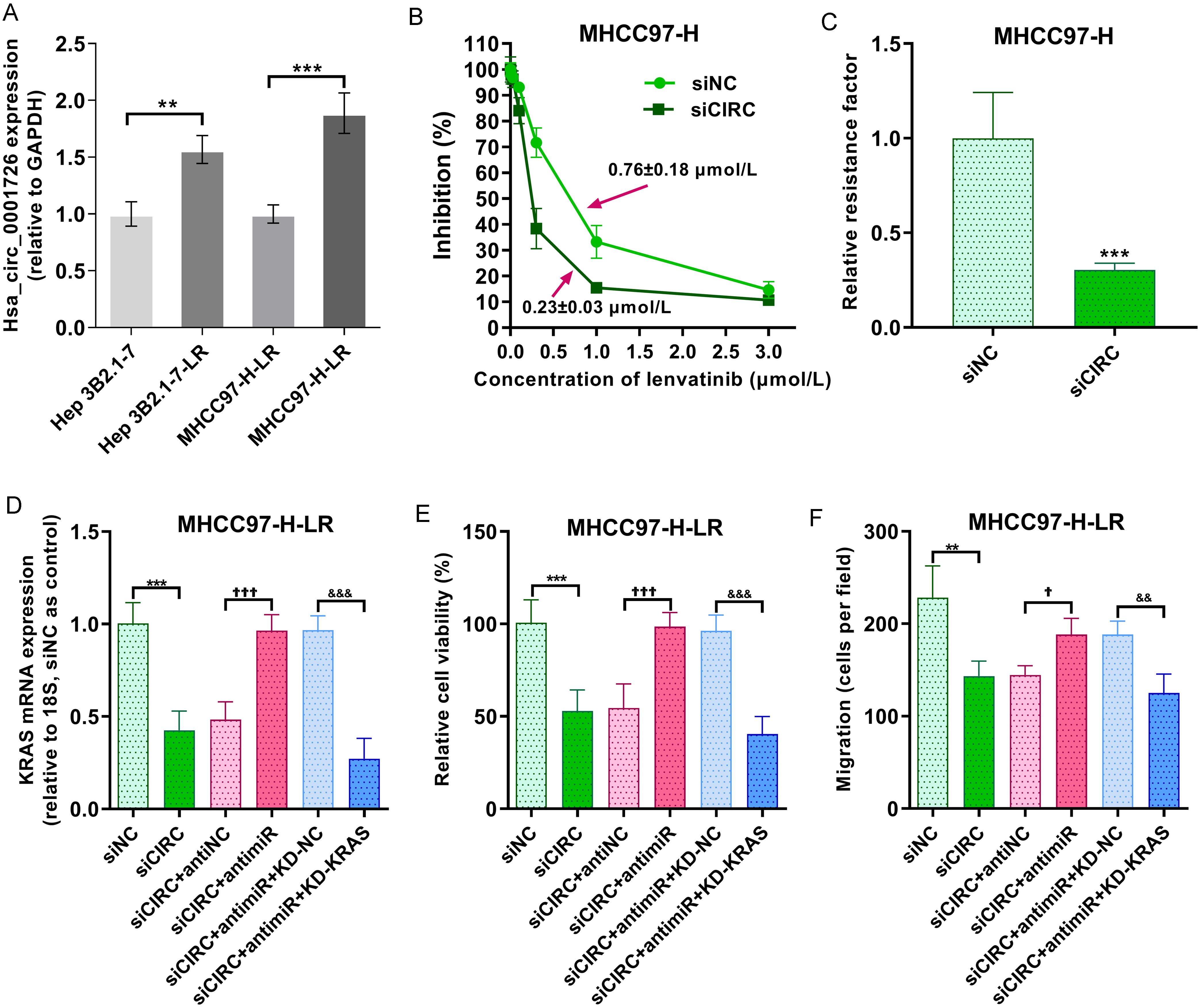 Role of the hsa_circ_0001726/miR-140-3p/KRAS axis in lenvatinib resistance in HCC.