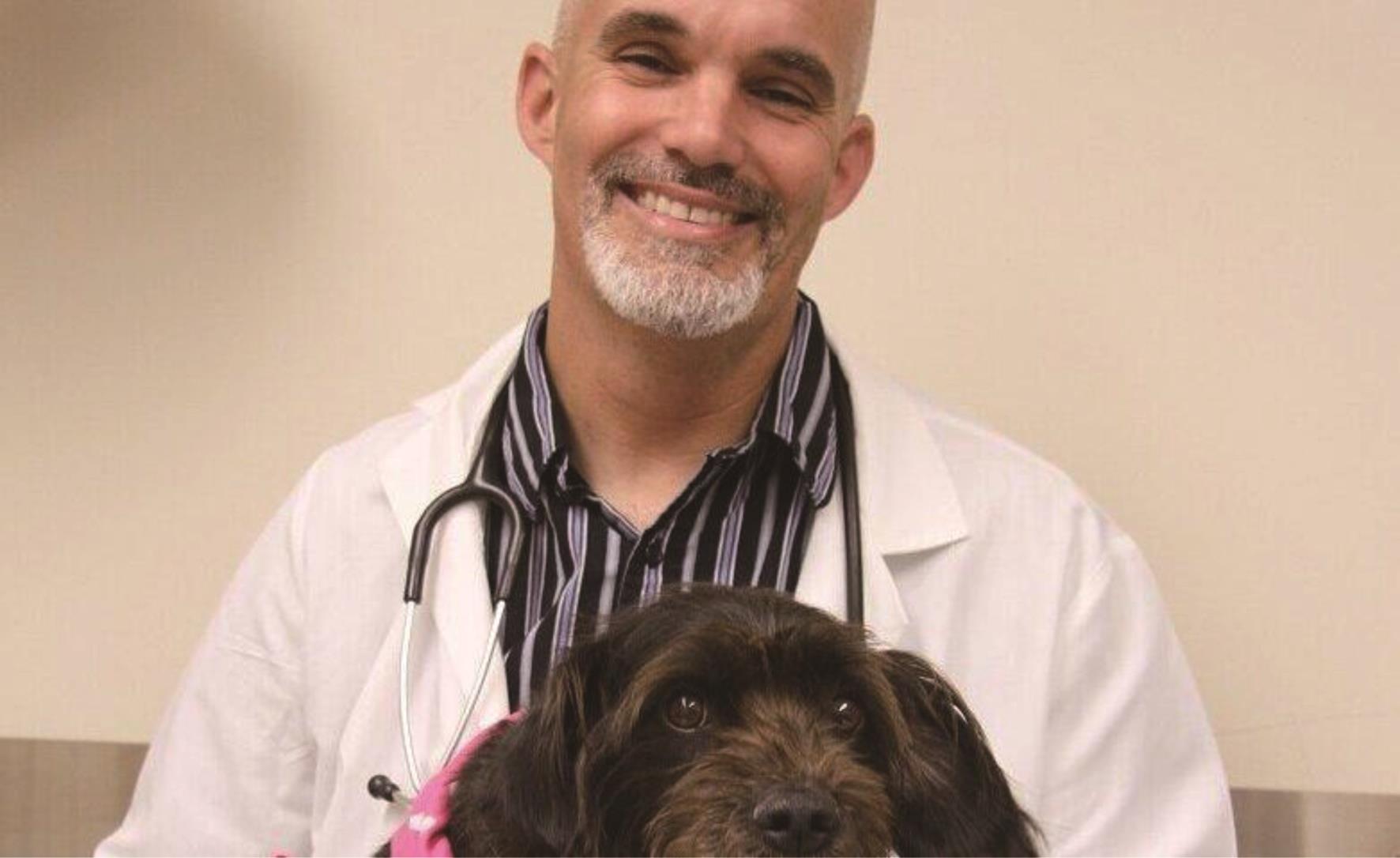  用犬自身肿瘤制成的疫苗成功治疗犬骨癌。 